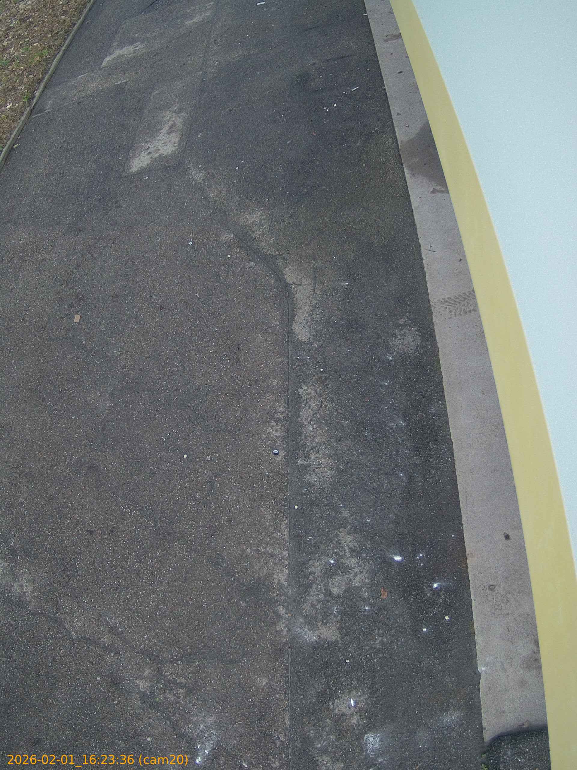 thumbnail_20260201162336