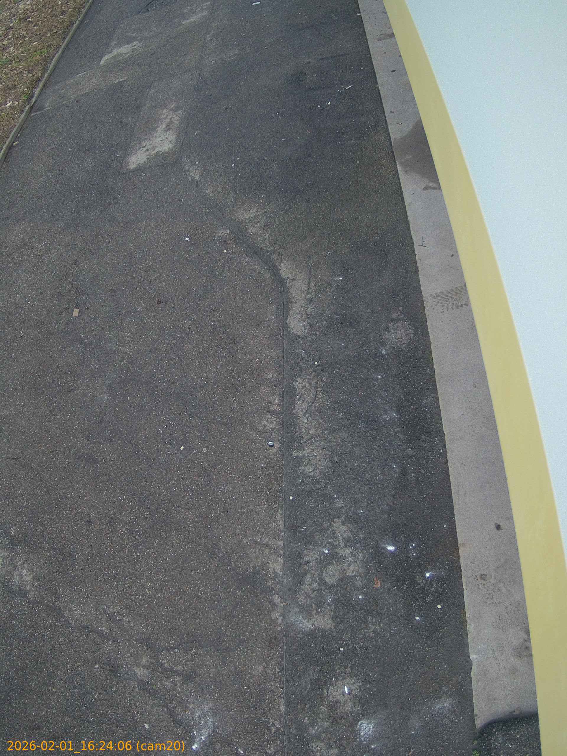 thumbnail_20260201162406