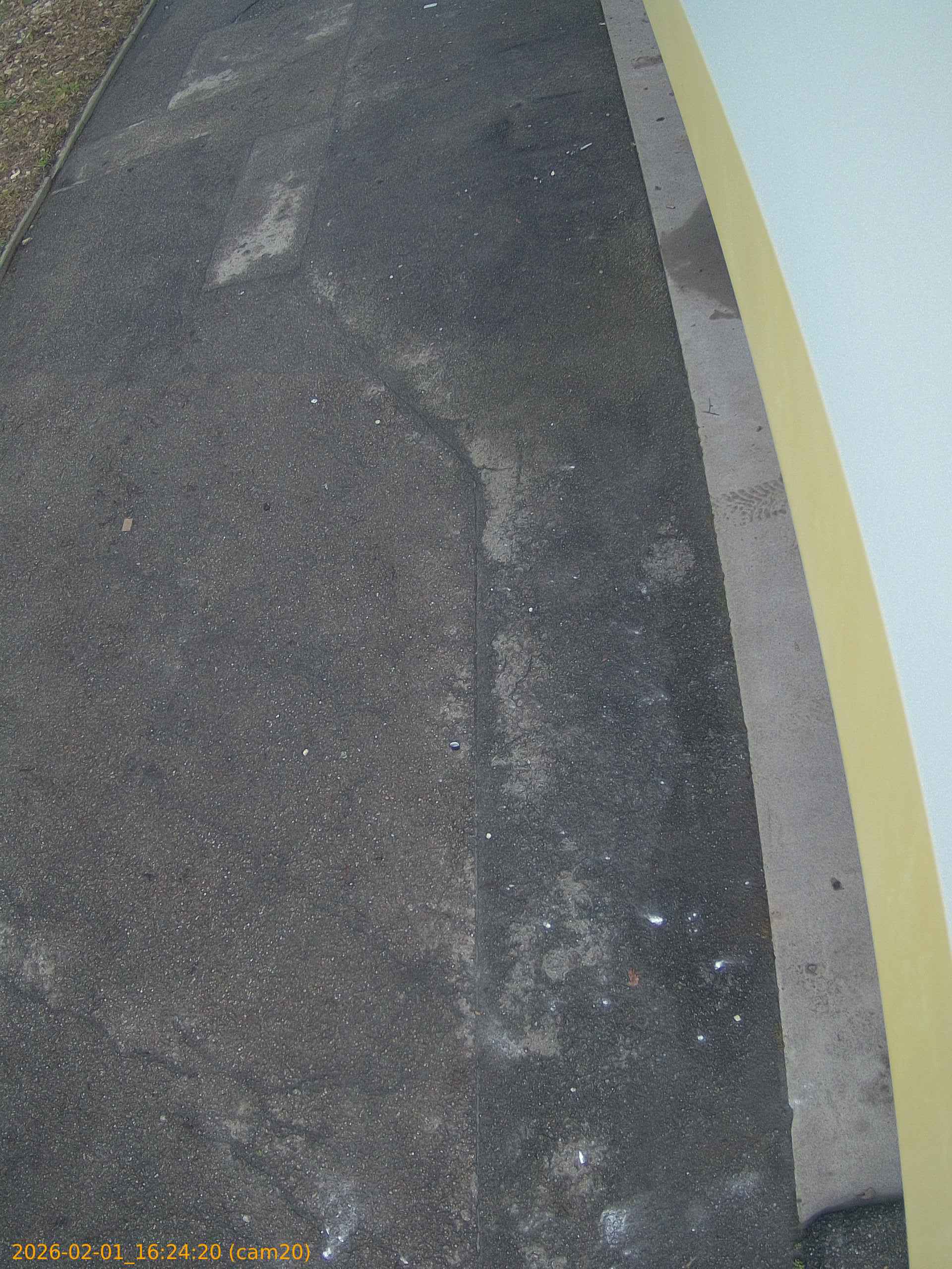 thumbnail_20260201162420