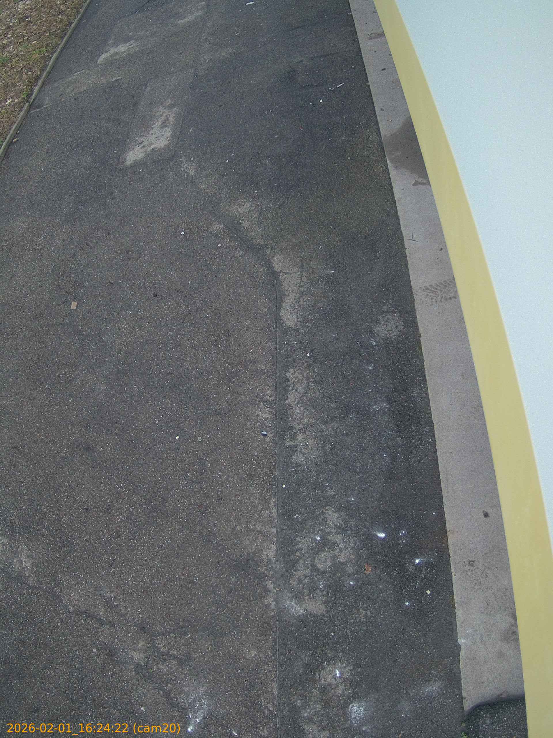 thumbnail_20260201162422