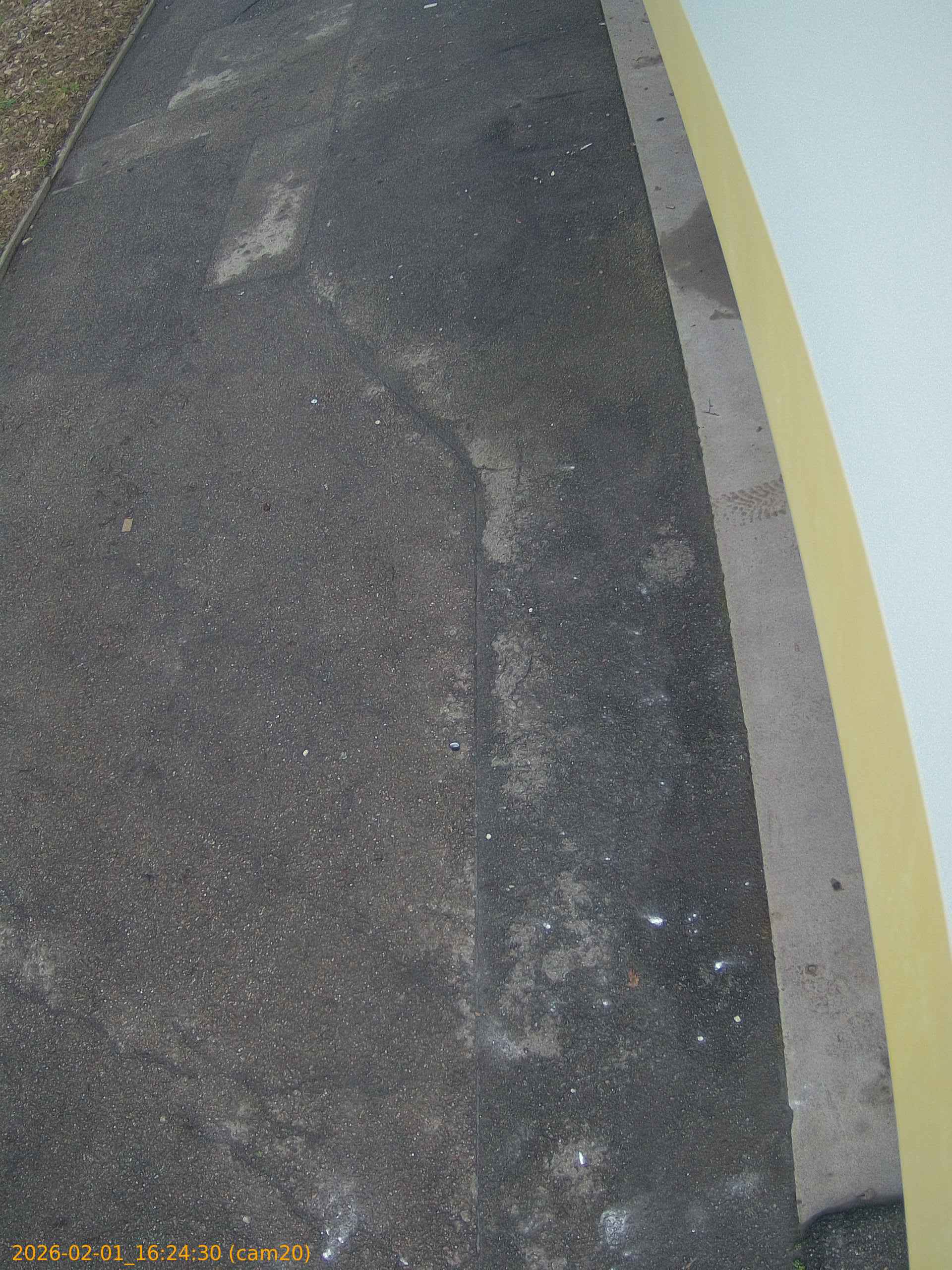 thumbnail_20260201162430