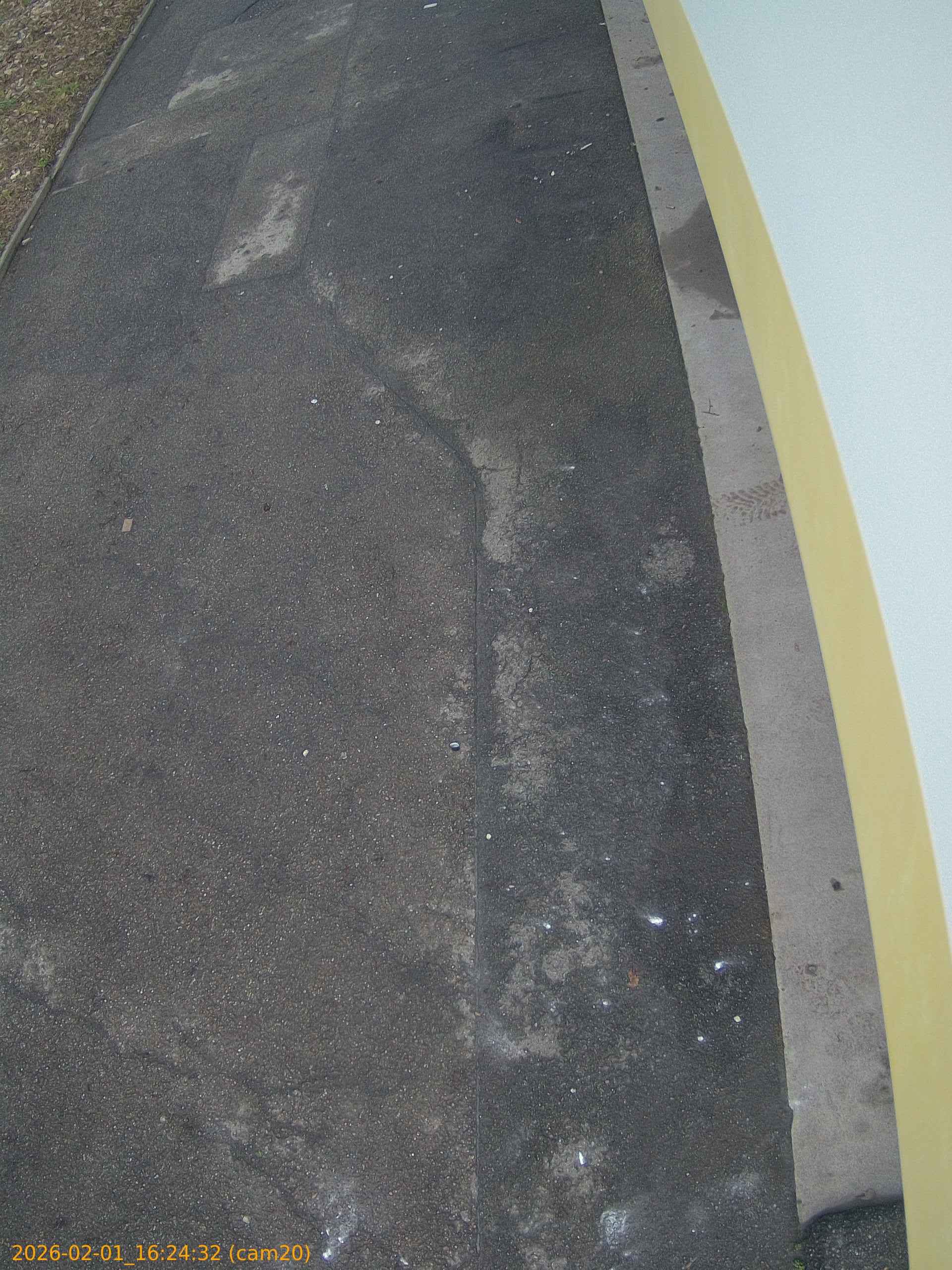 thumbnail_20260201162432