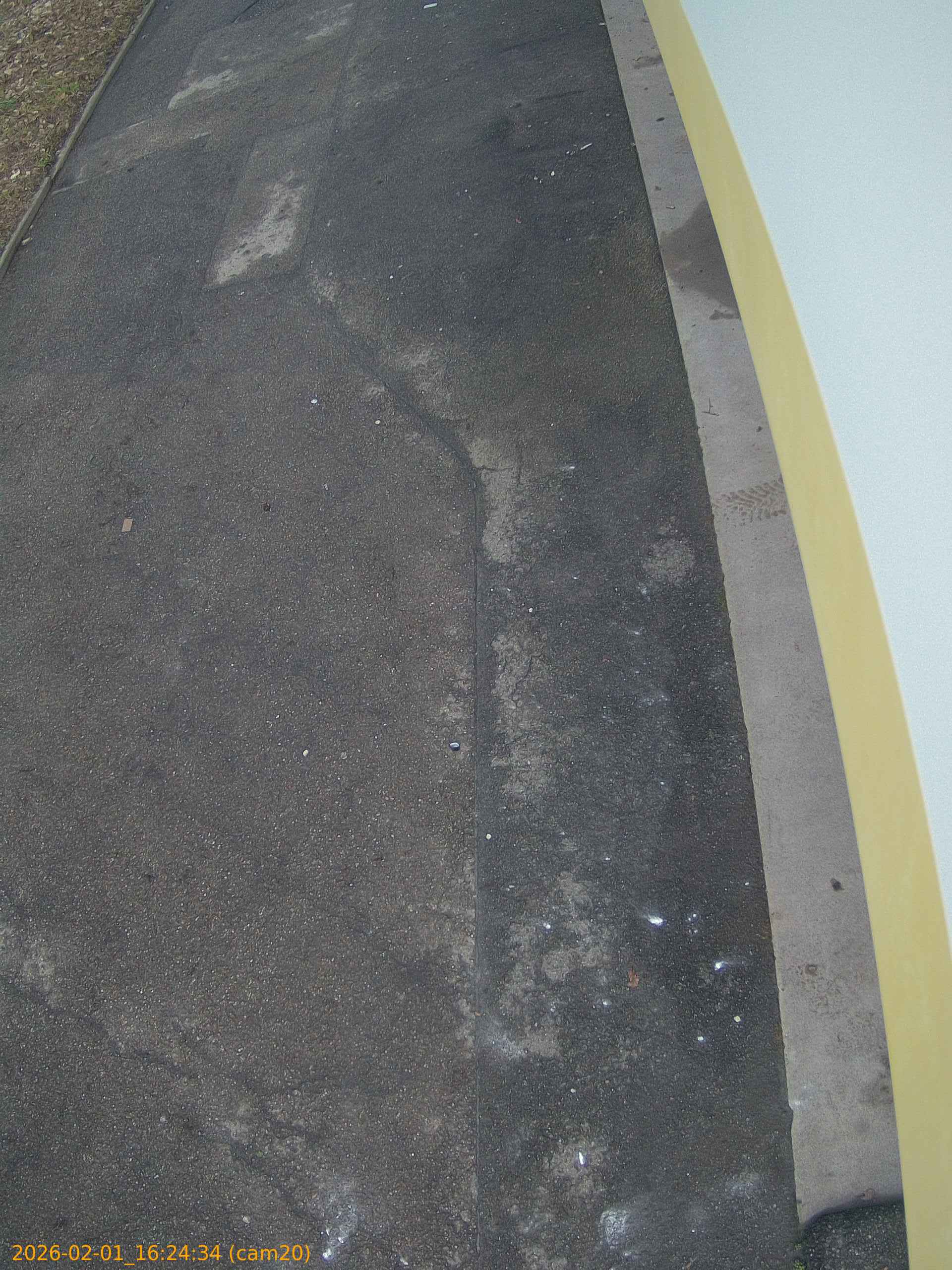 thumbnail_20260201162434