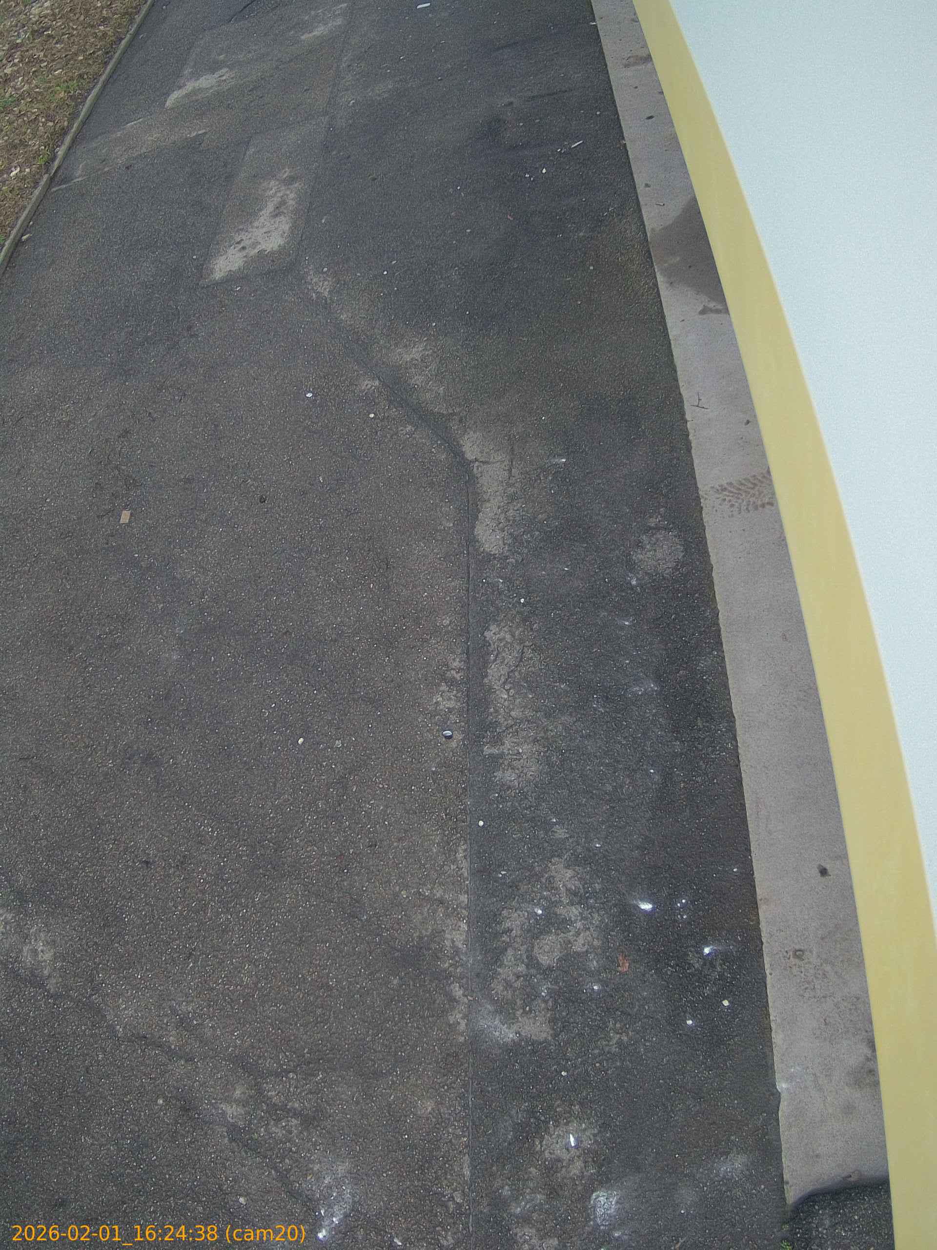 thumbnail_20260201162438