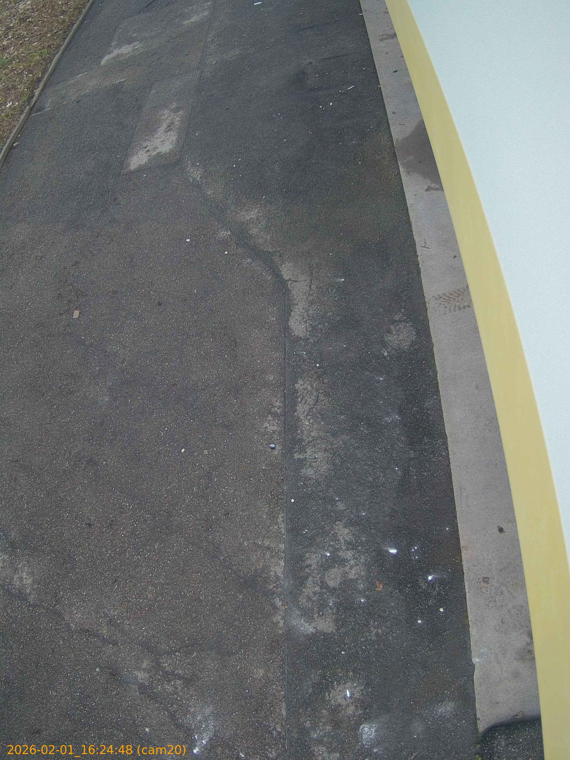 thumbnail_20260201162448