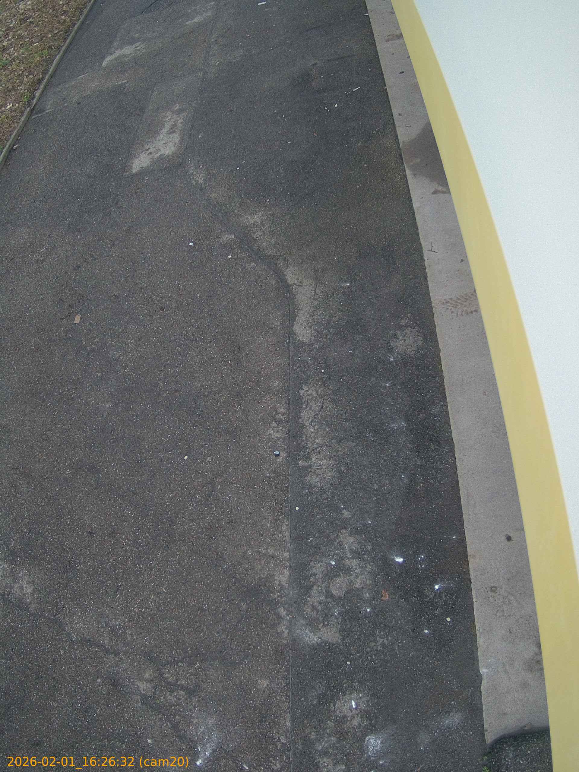 thumbnail_20260201162632