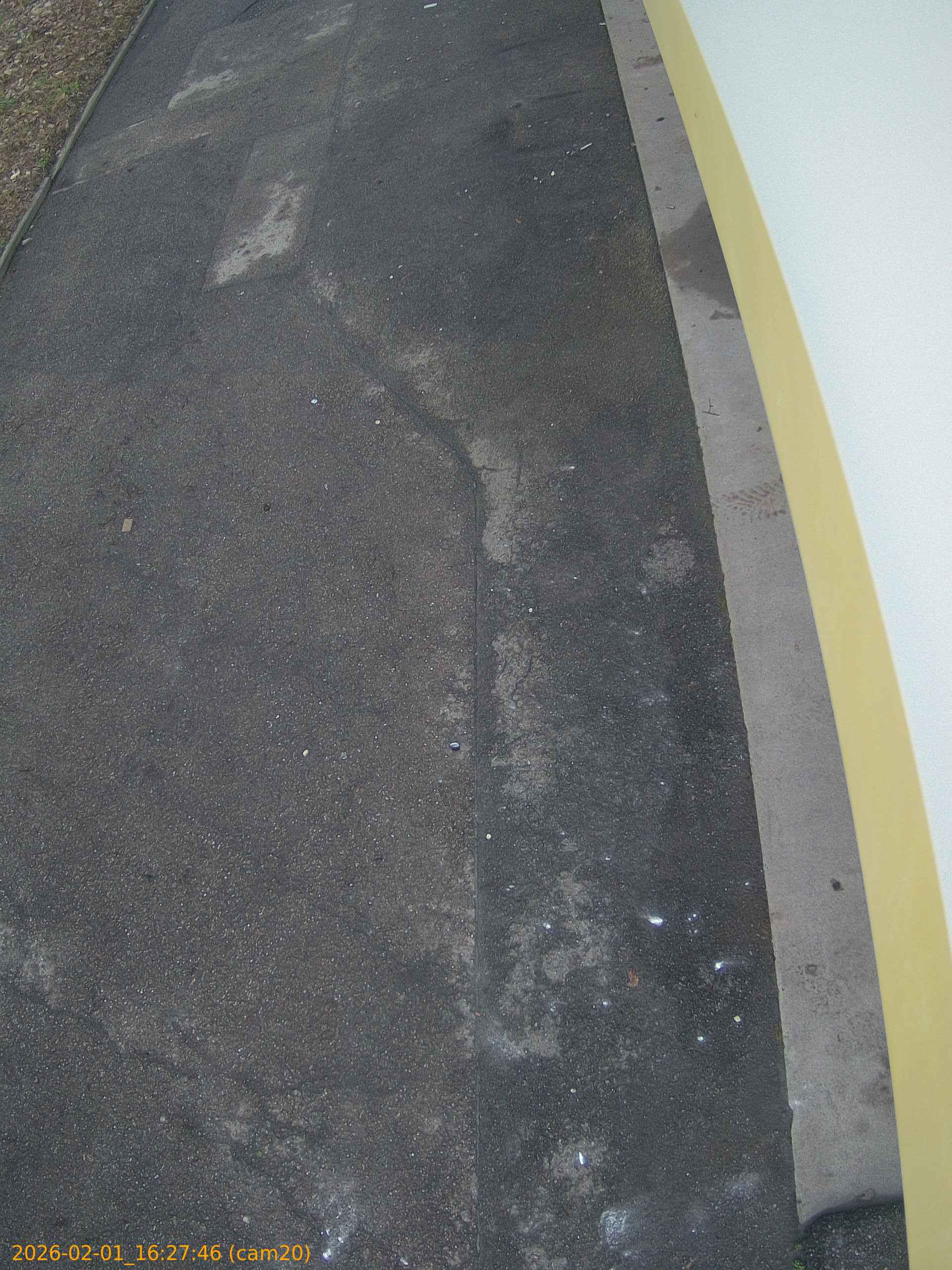 thumbnail_20260201162746