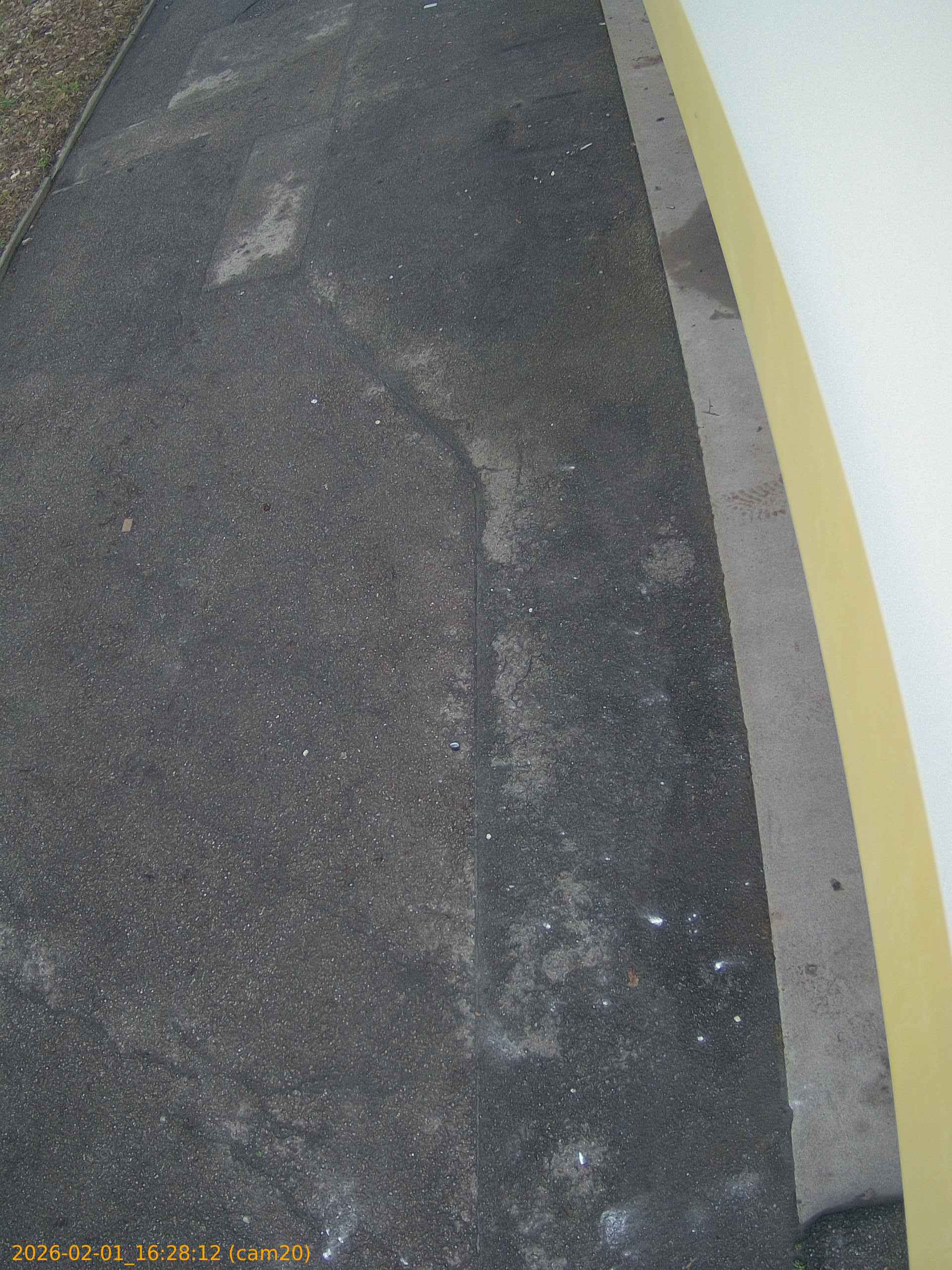 thumbnail_20260201162812