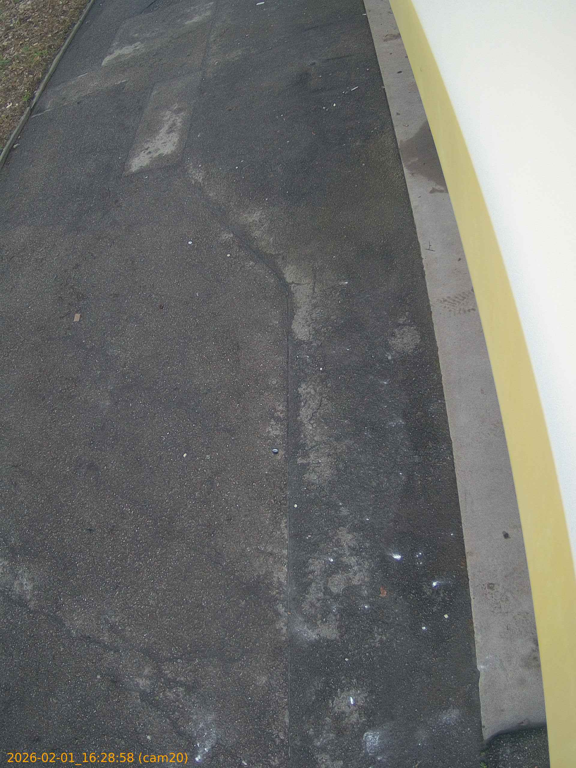 thumbnail_20260201162858