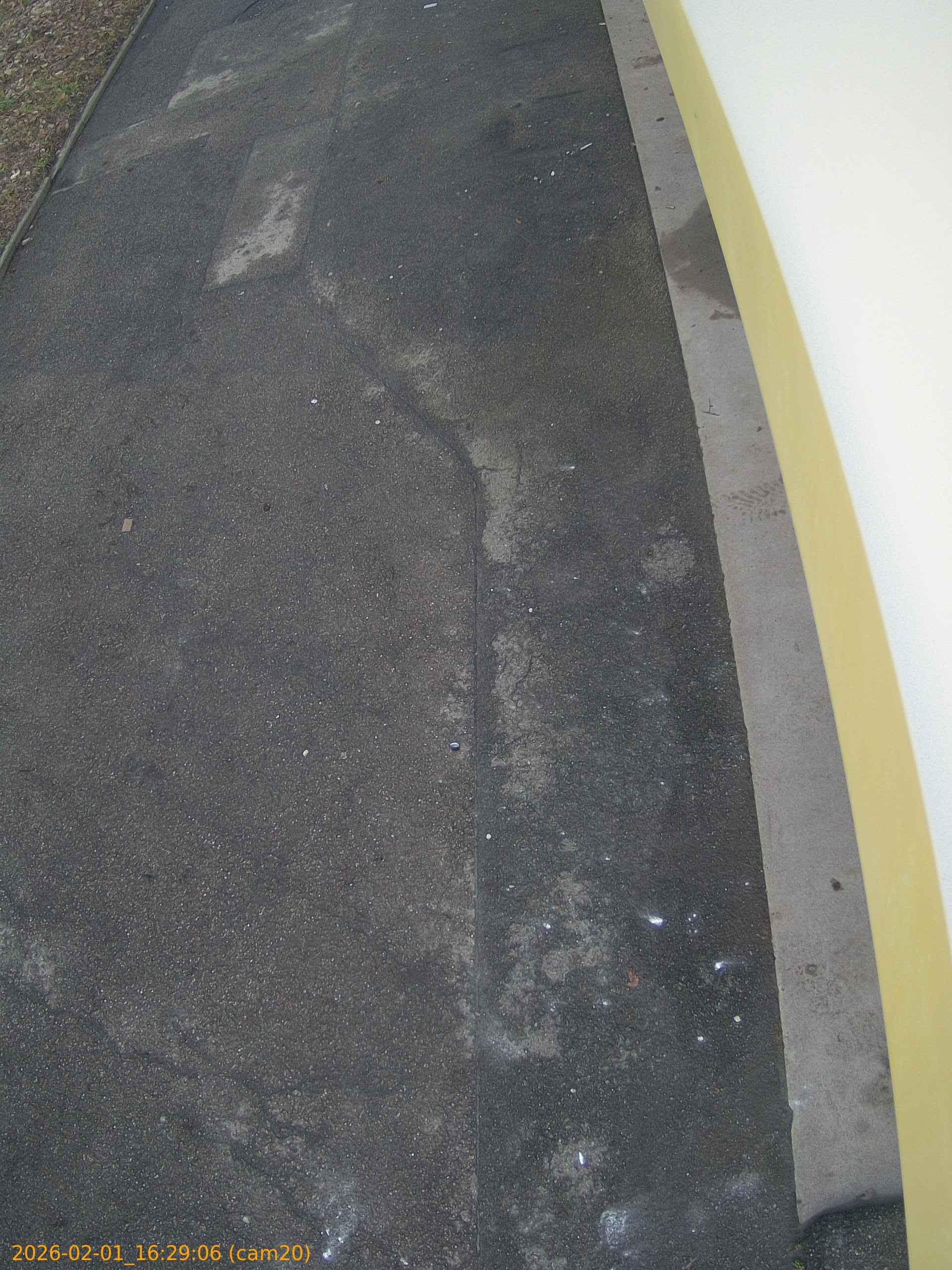 thumbnail_20260201162906