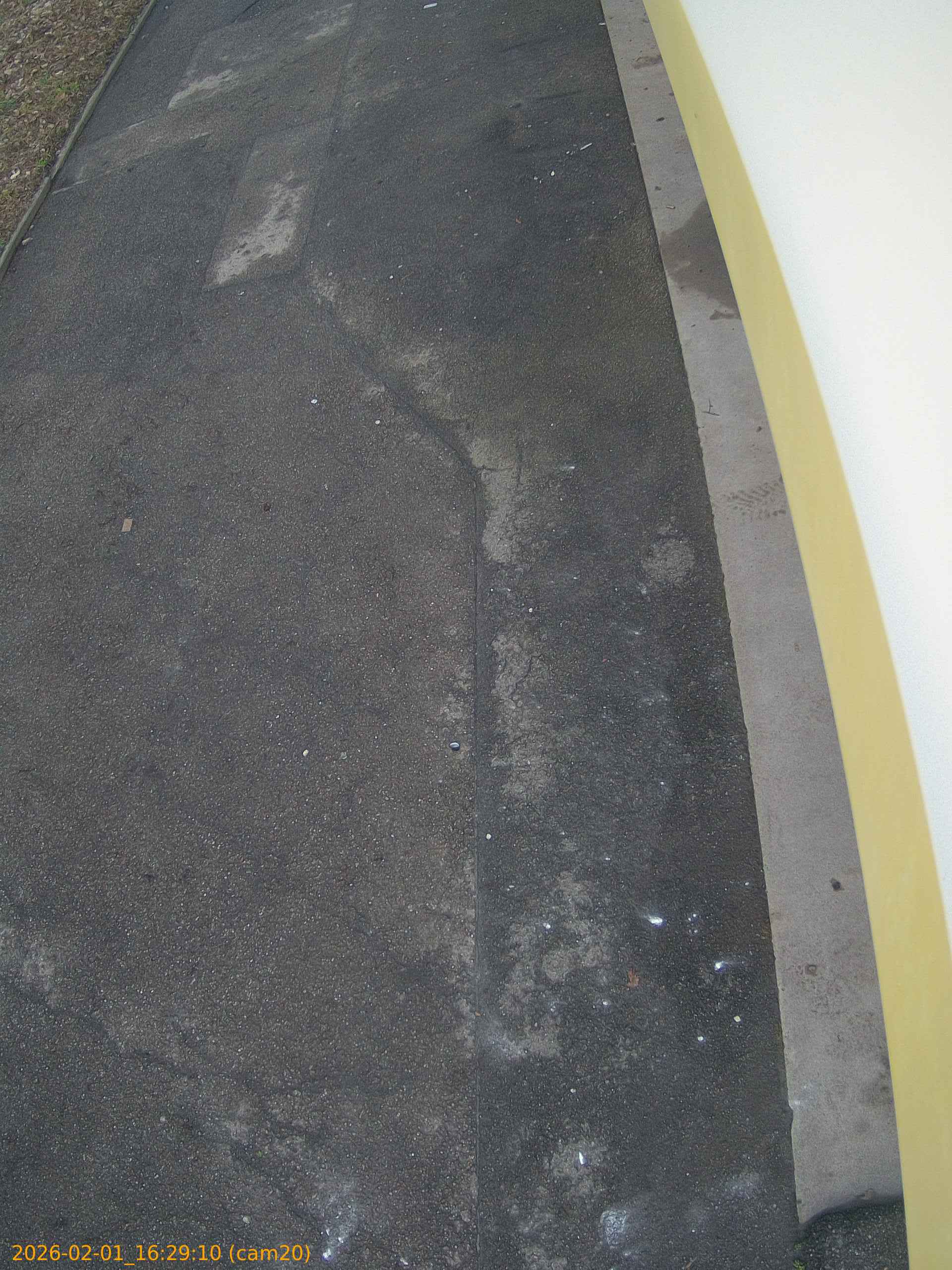 thumbnail_20260201162910