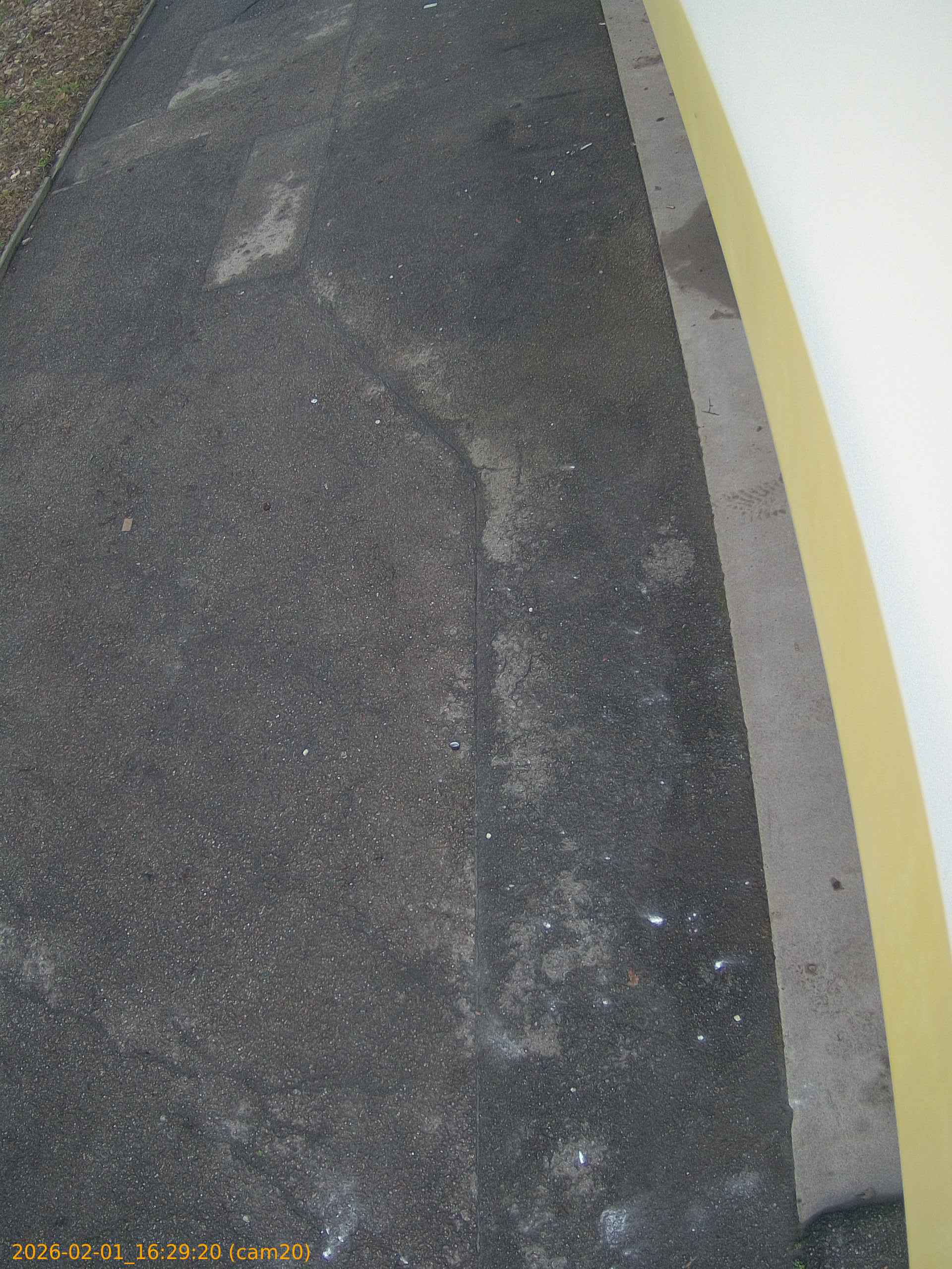 thumbnail_20260201162920