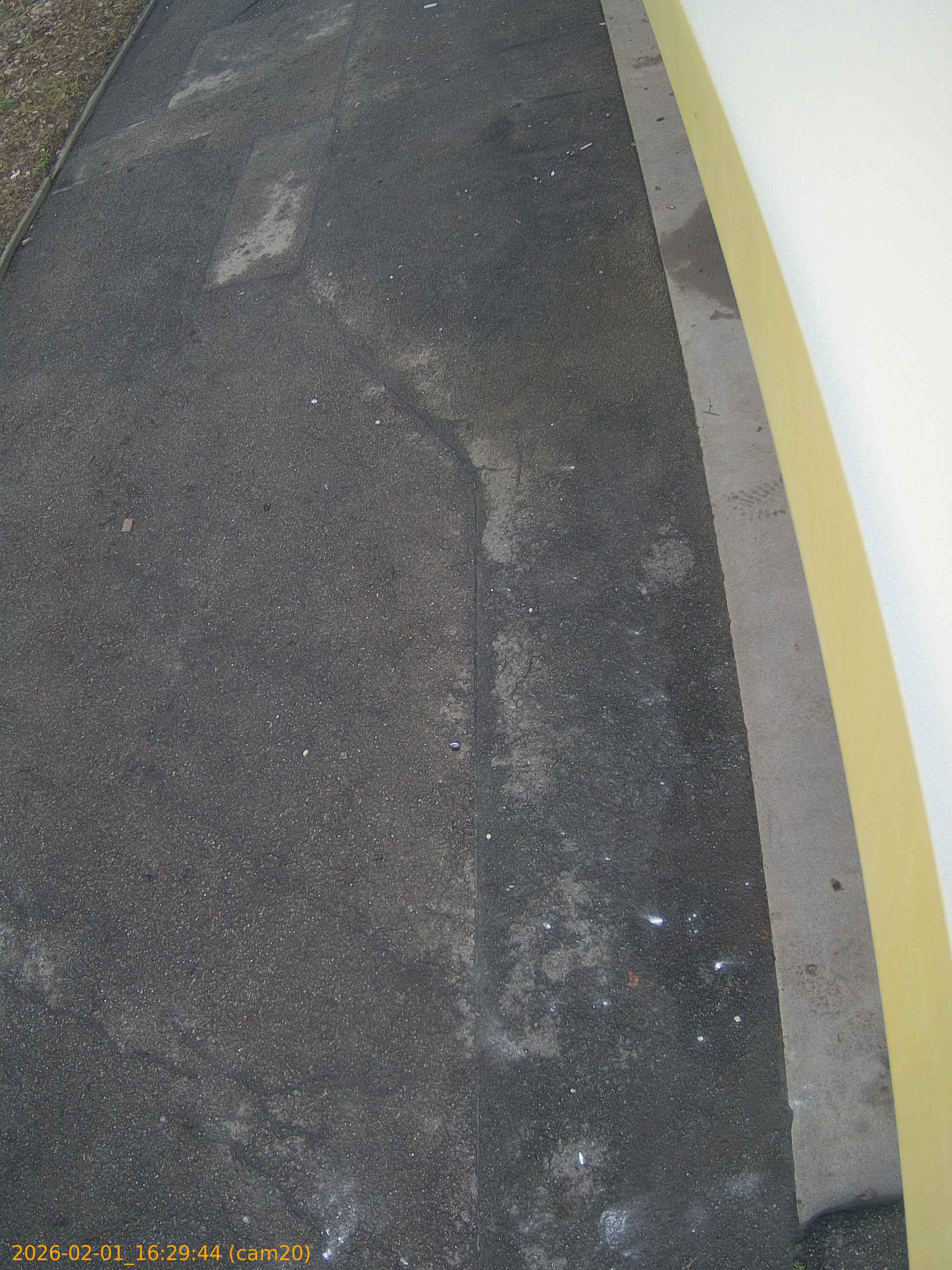 thumbnail_20260201162944