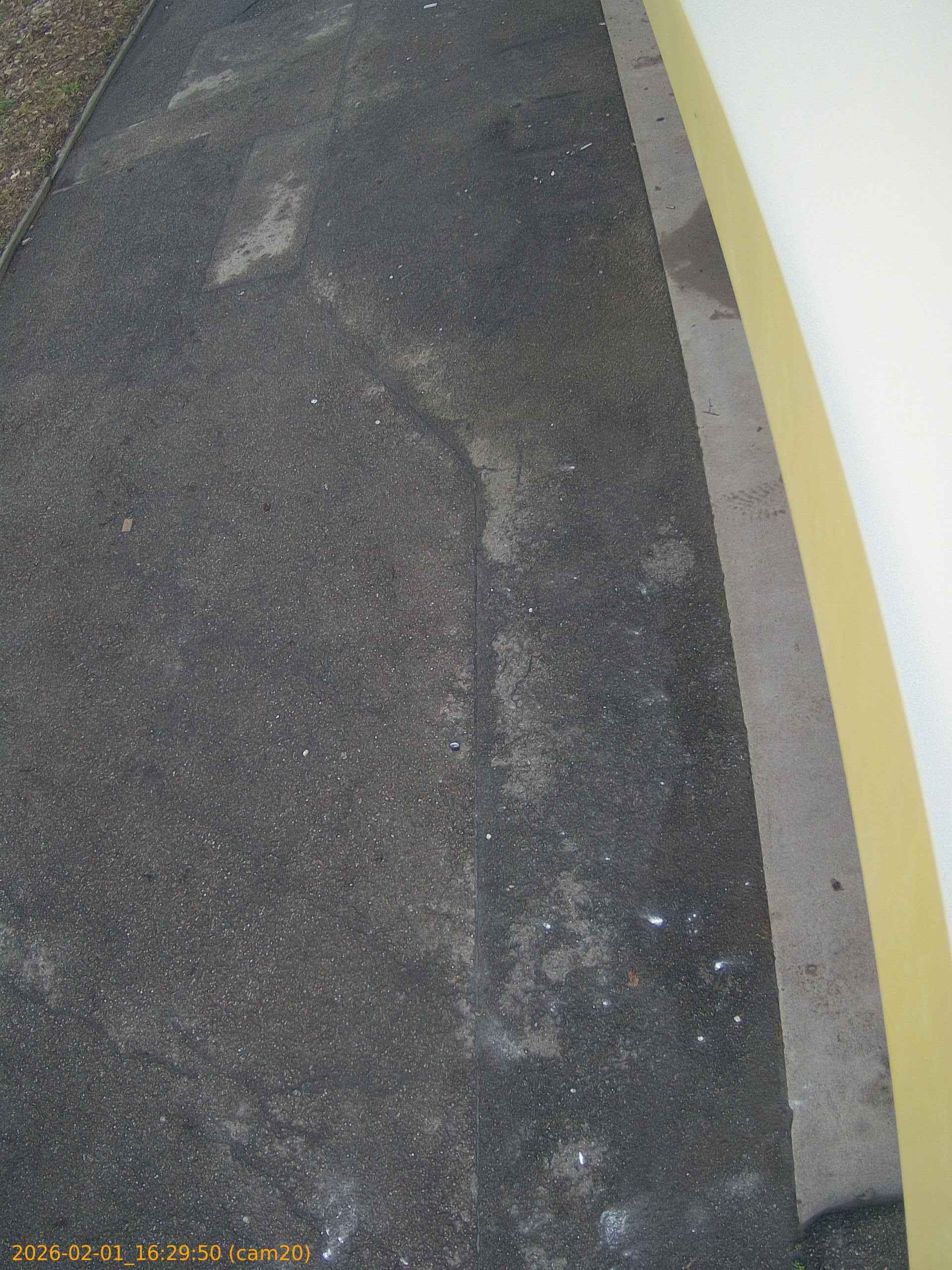 thumbnail_20260201162950