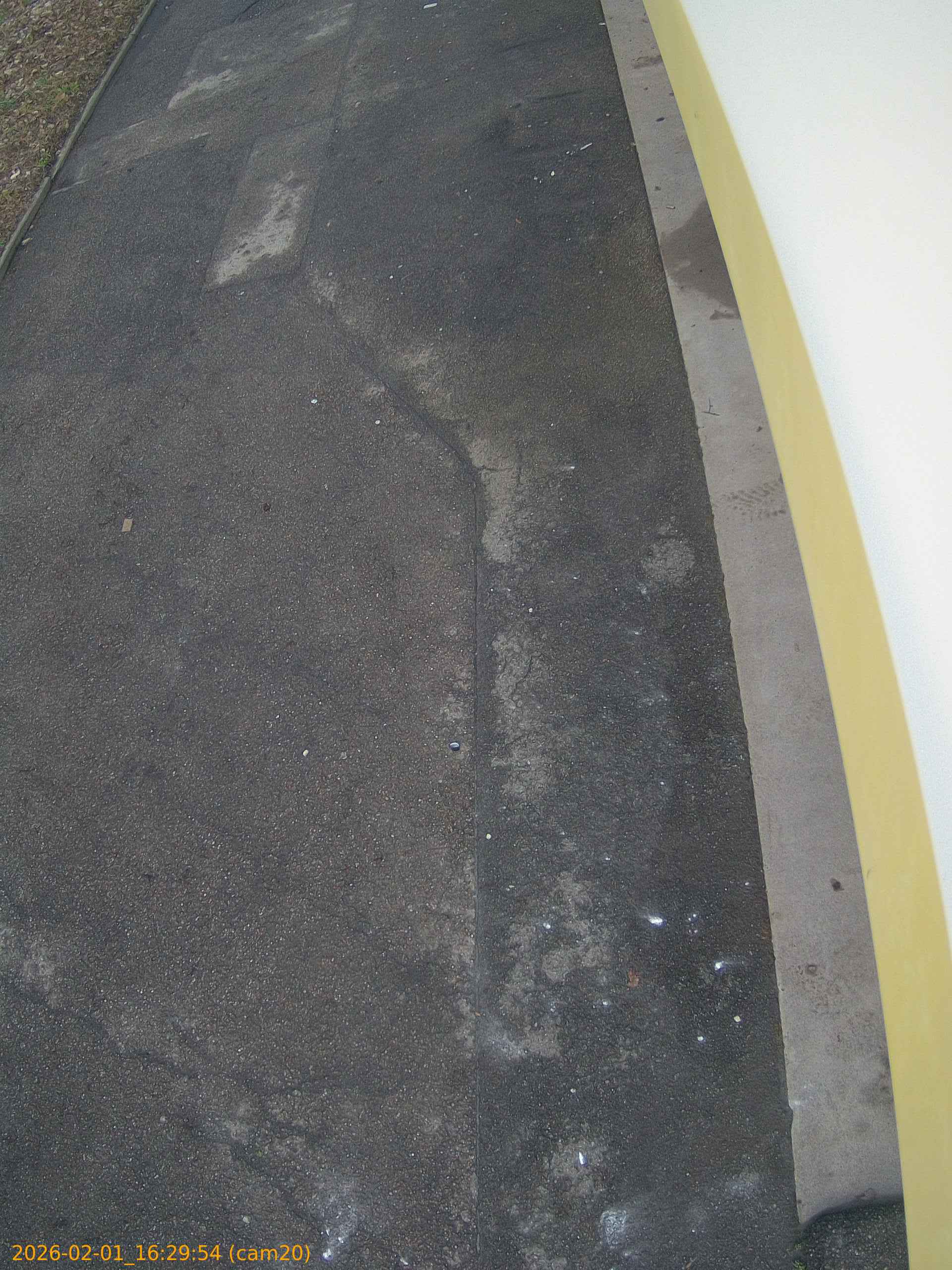 thumbnail_20260201162954