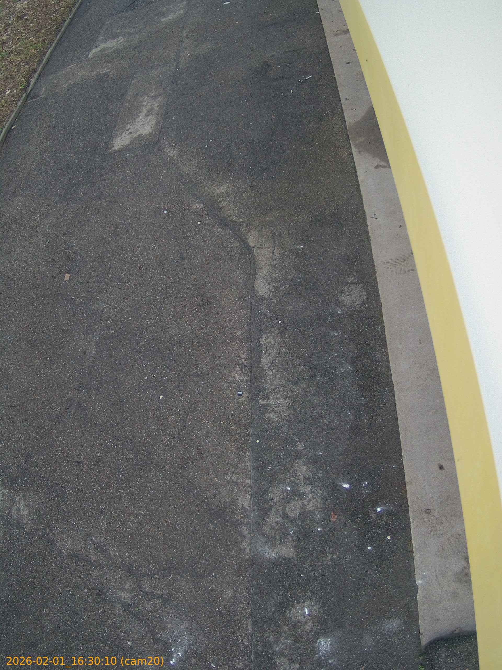 thumbnail_20260201163010