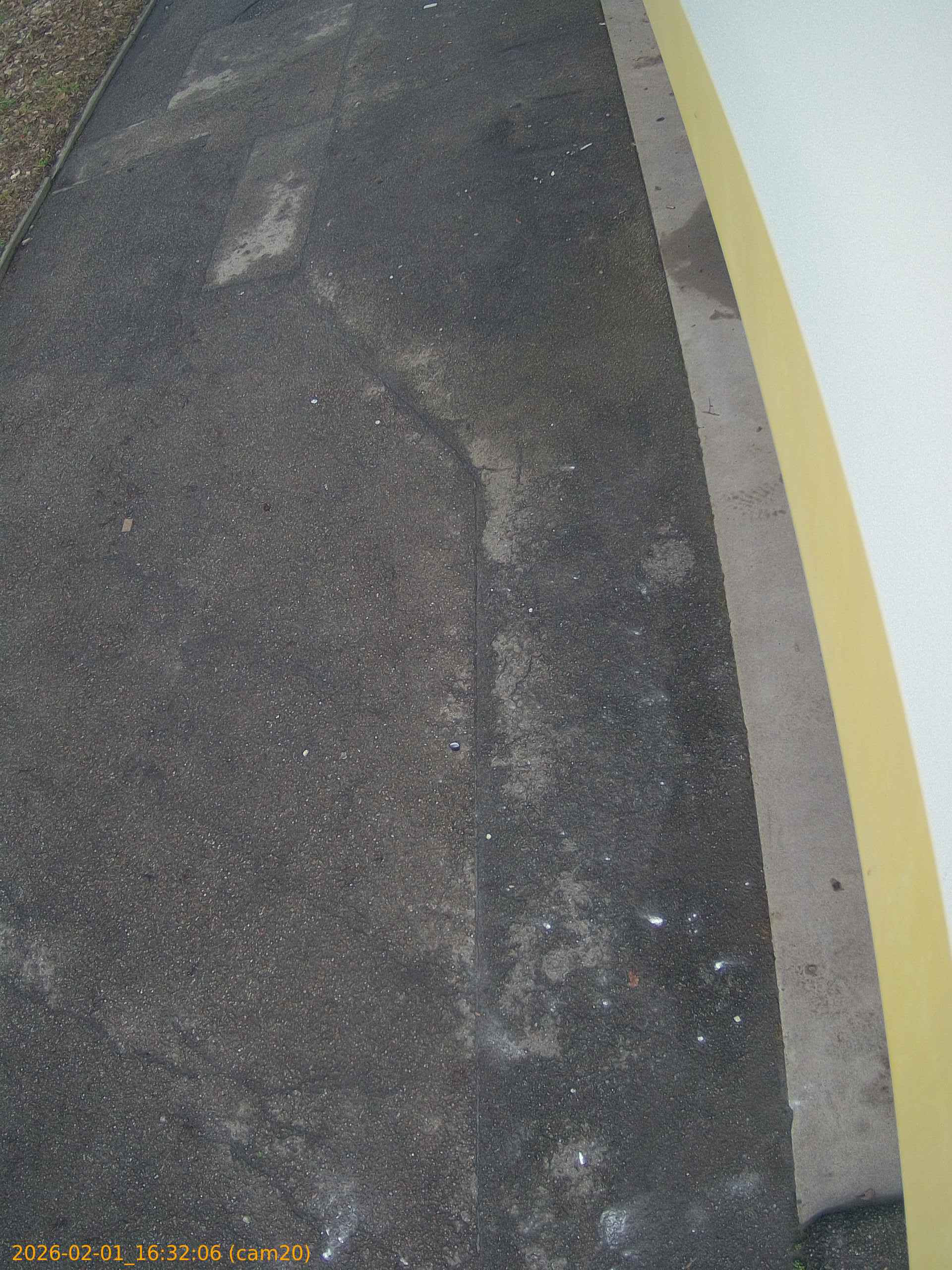 thumbnail_20260201163206