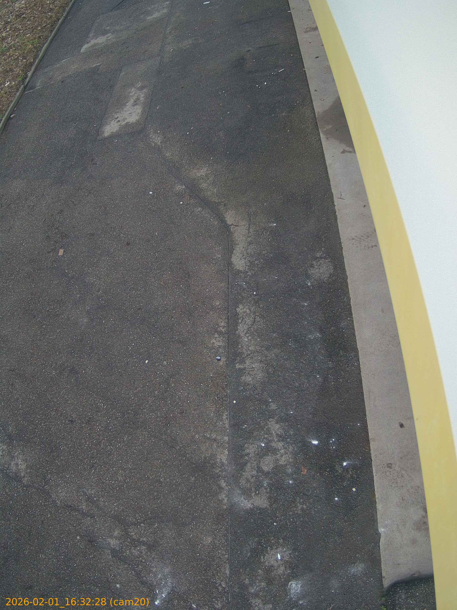 thumbnail_20260201163228