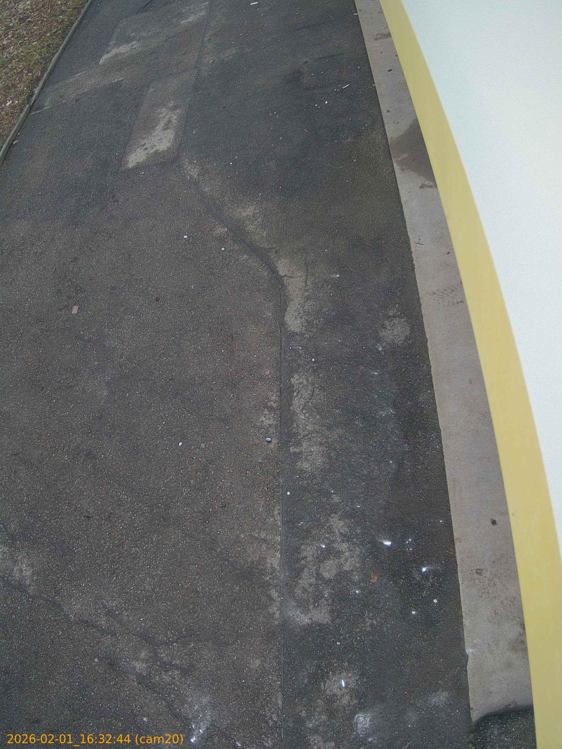 thumbnail_20260201163244