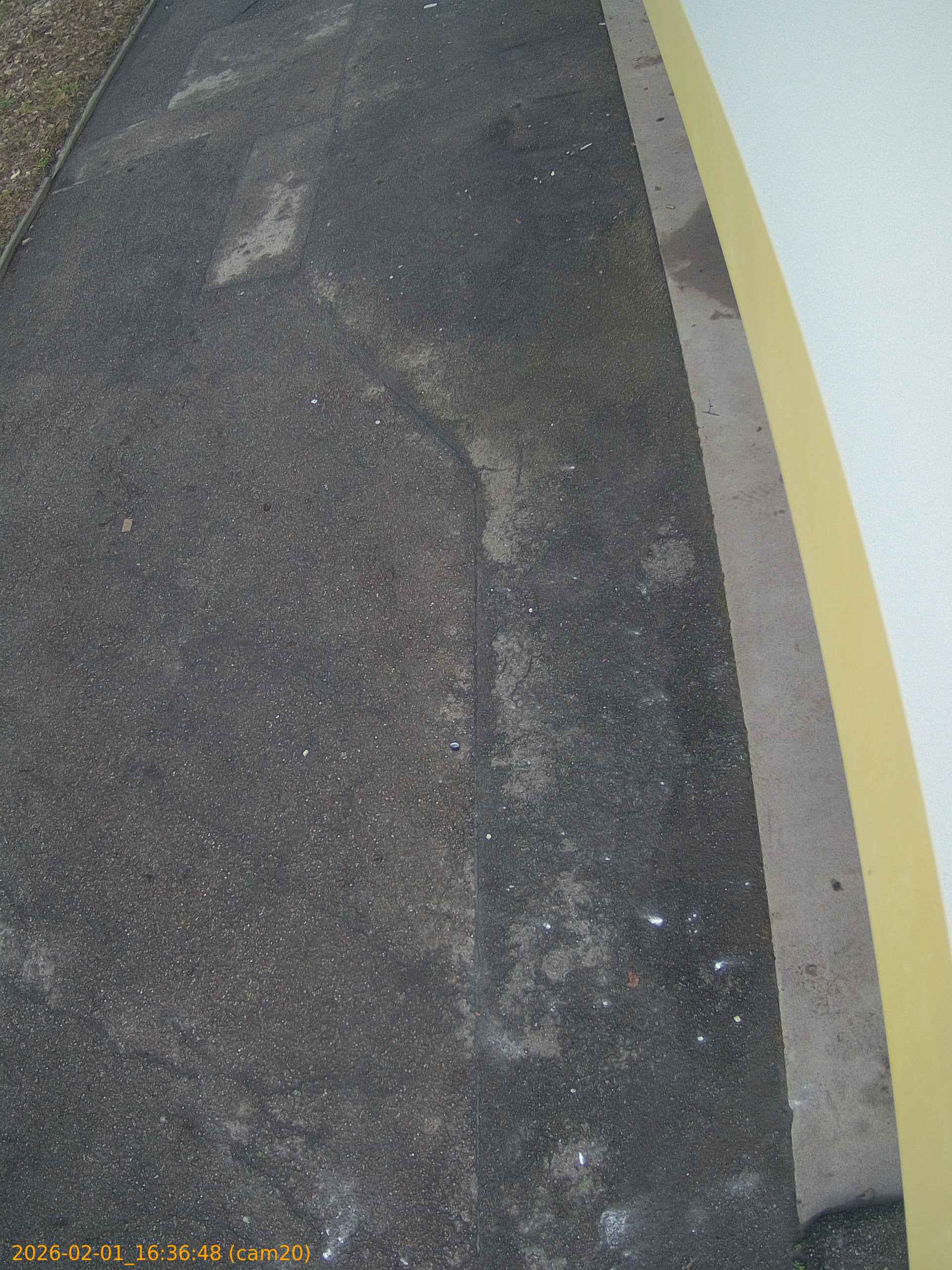 thumbnail_20260201163648