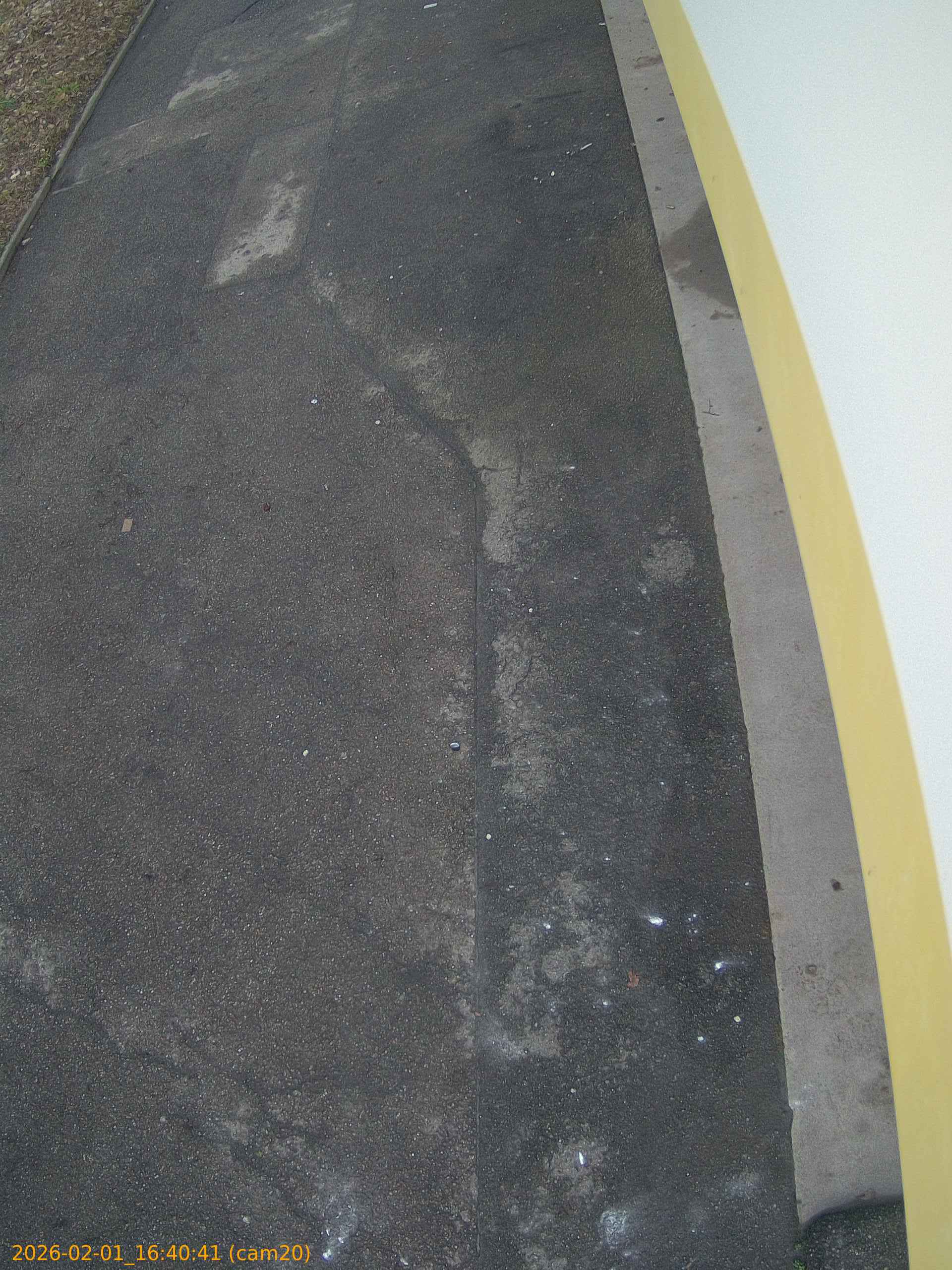 thumbnail_20260201164041