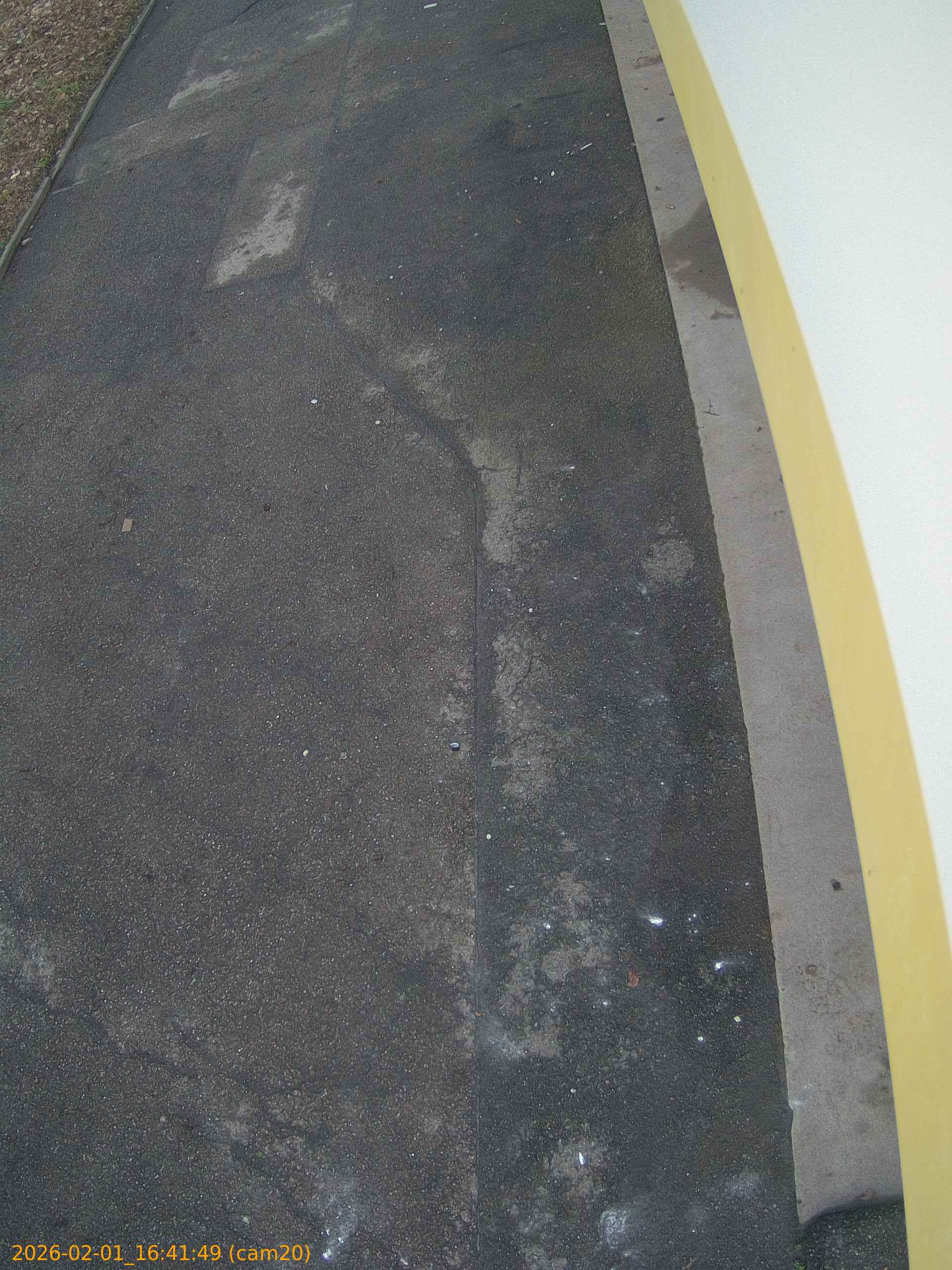 thumbnail_20260201164149