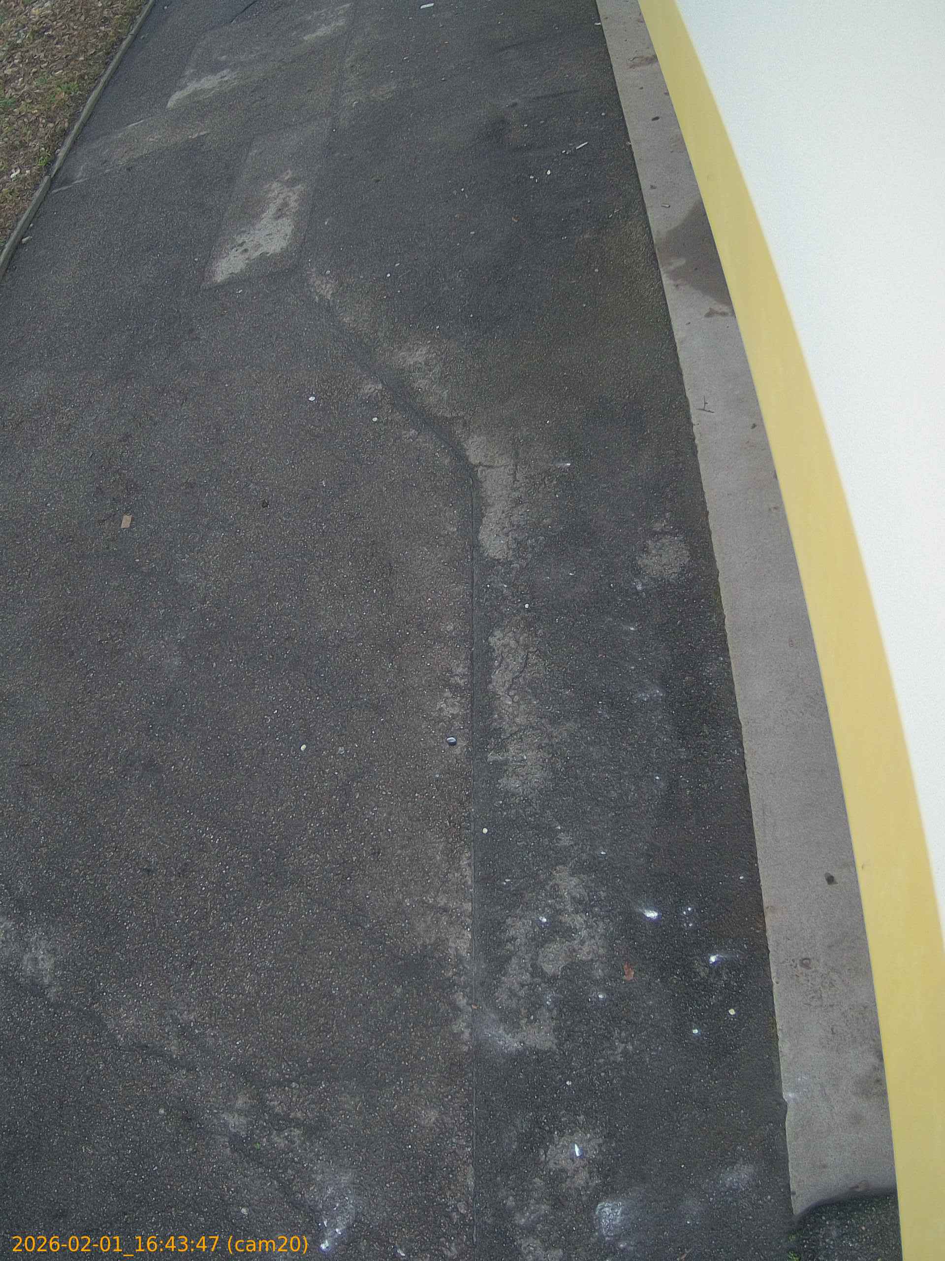 thumbnail_20260201164347