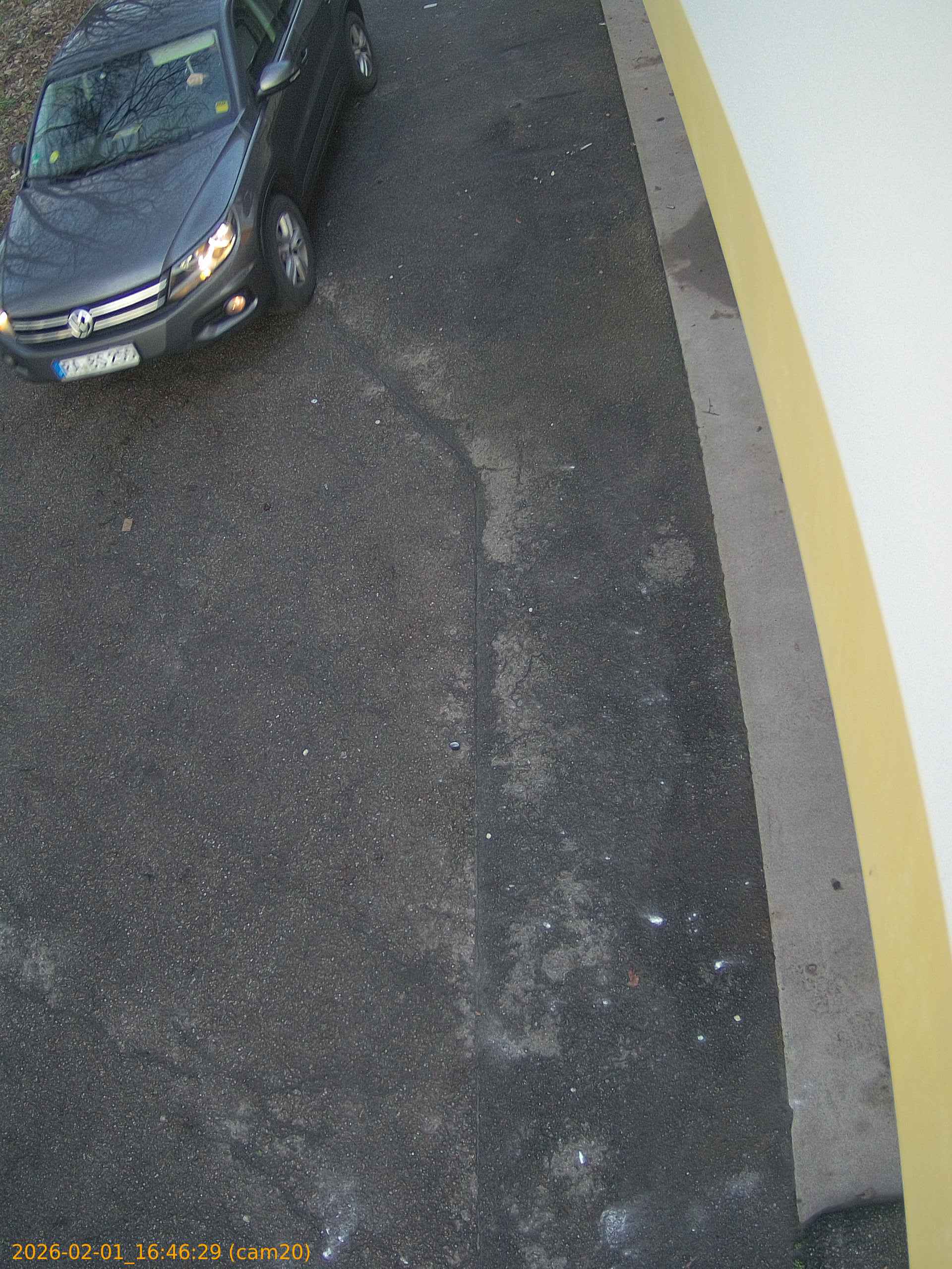 thumbnail_20260201164629