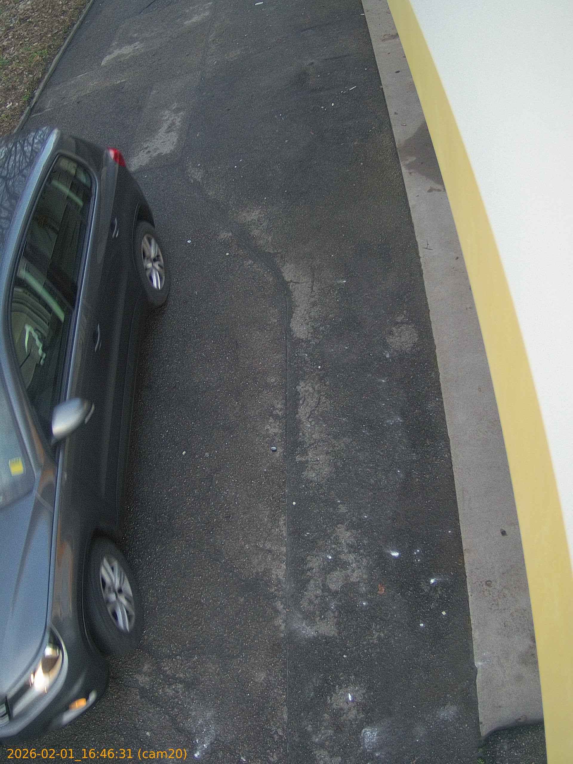 thumbnail_20260201164631