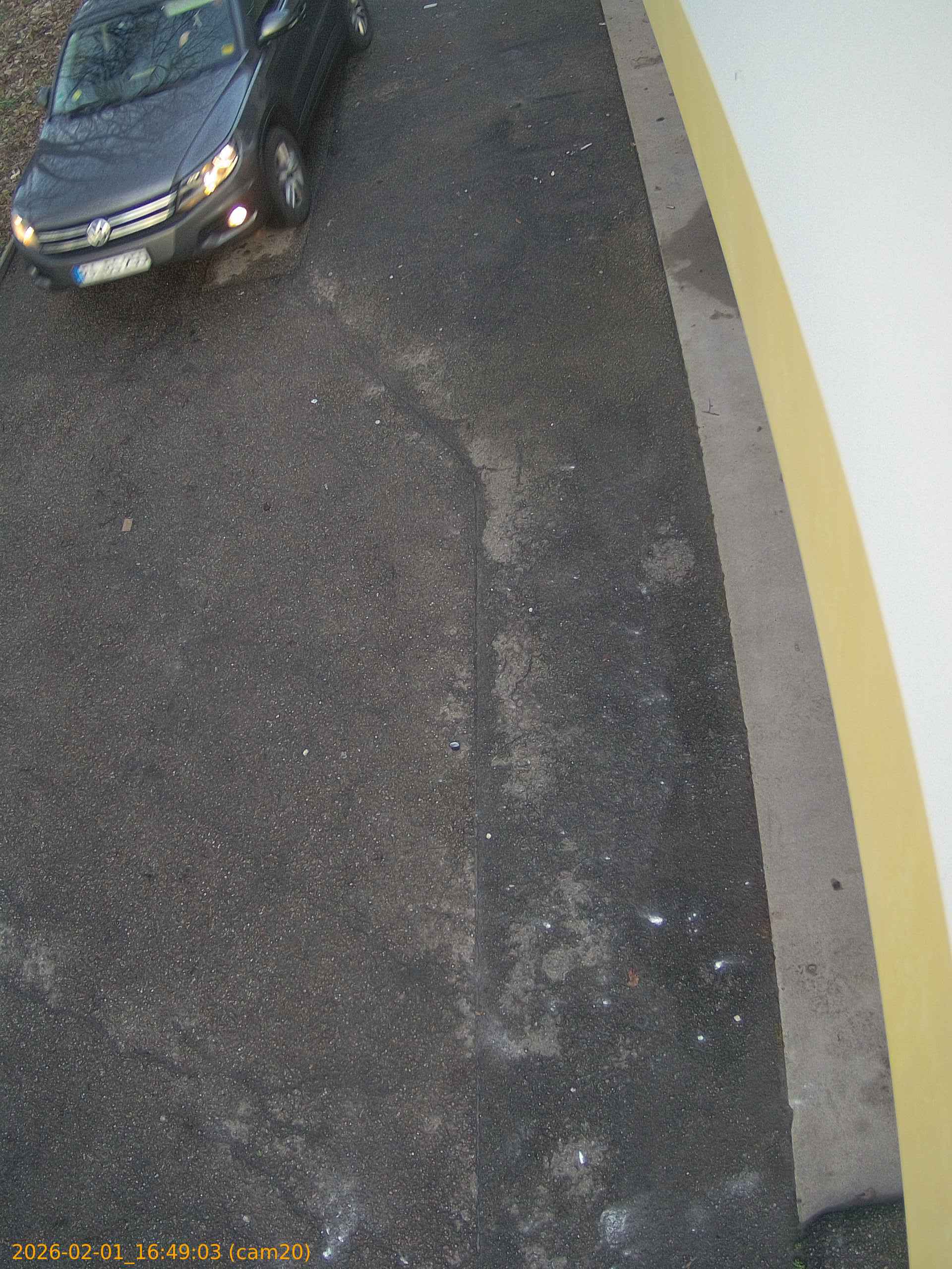 thumbnail_20260201164903