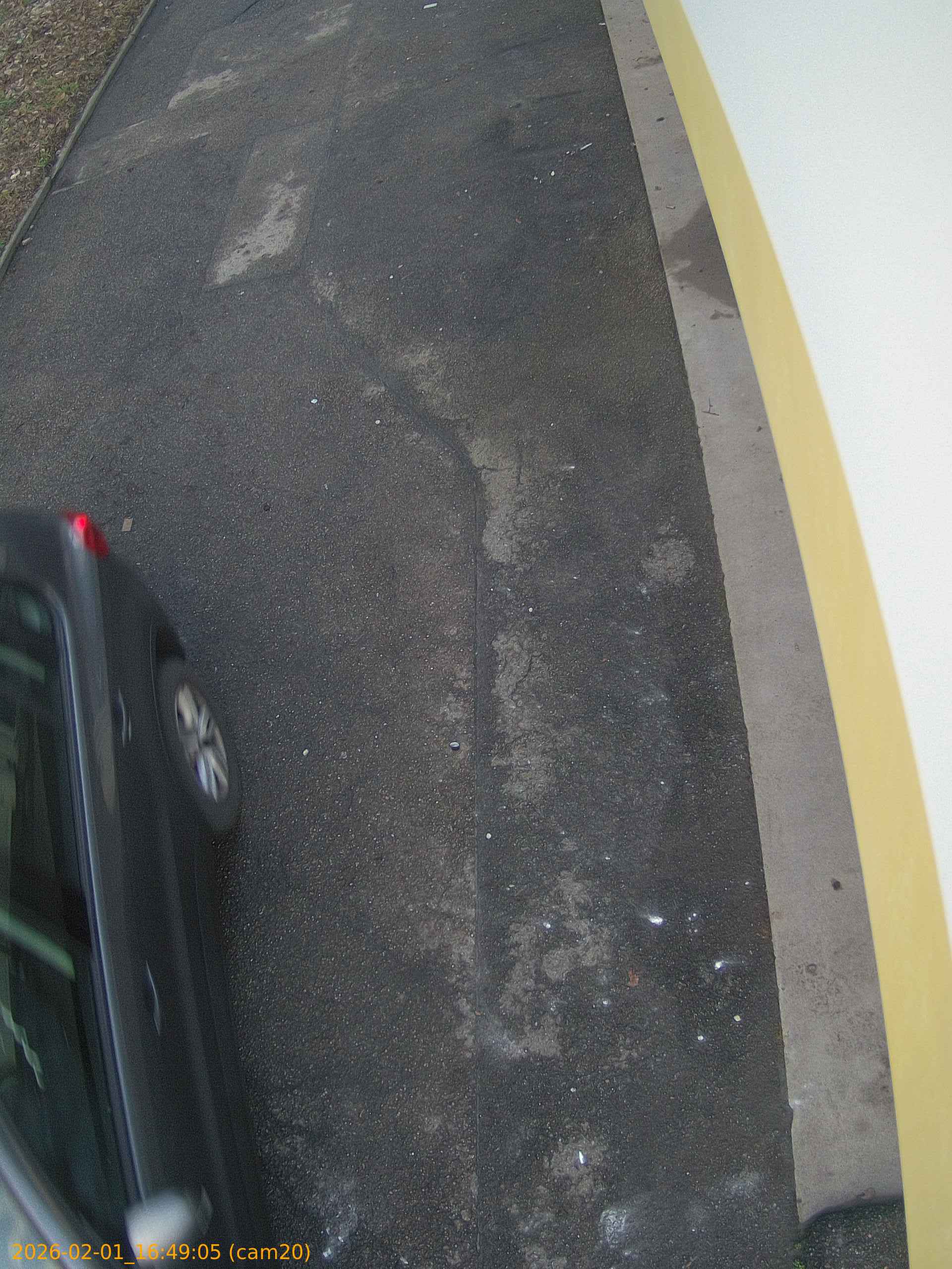 thumbnail_20260201164905