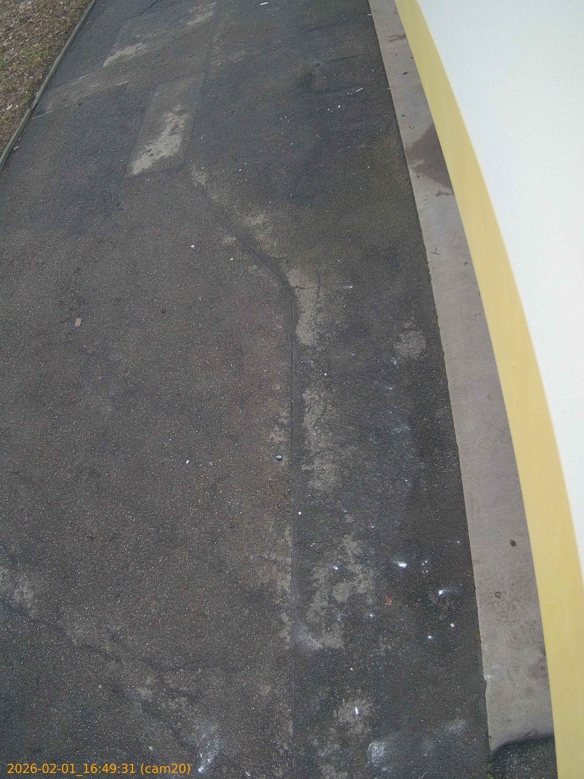 thumbnail_20260201164931