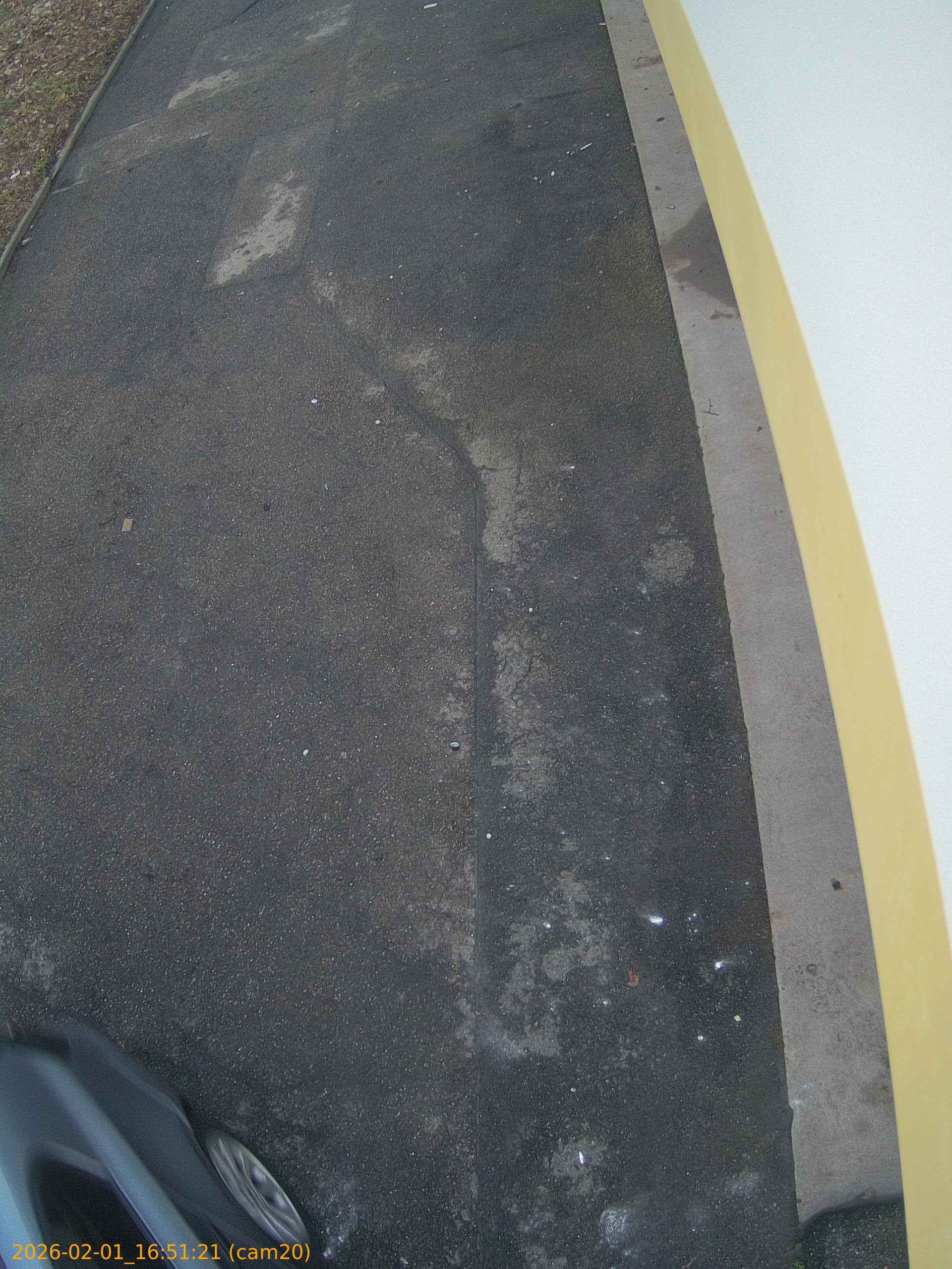 thumbnail_20260201165121