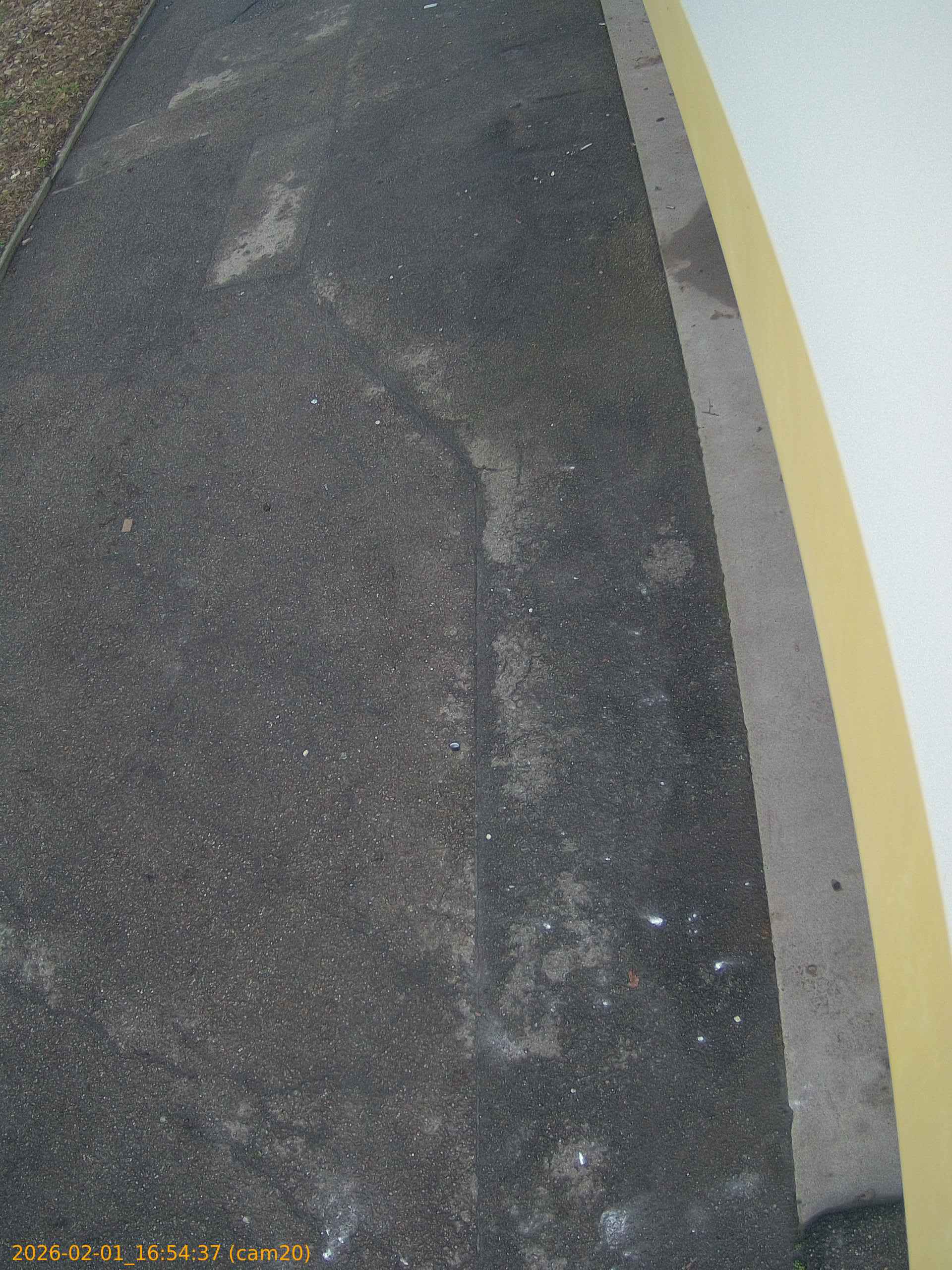 thumbnail_20260201165437