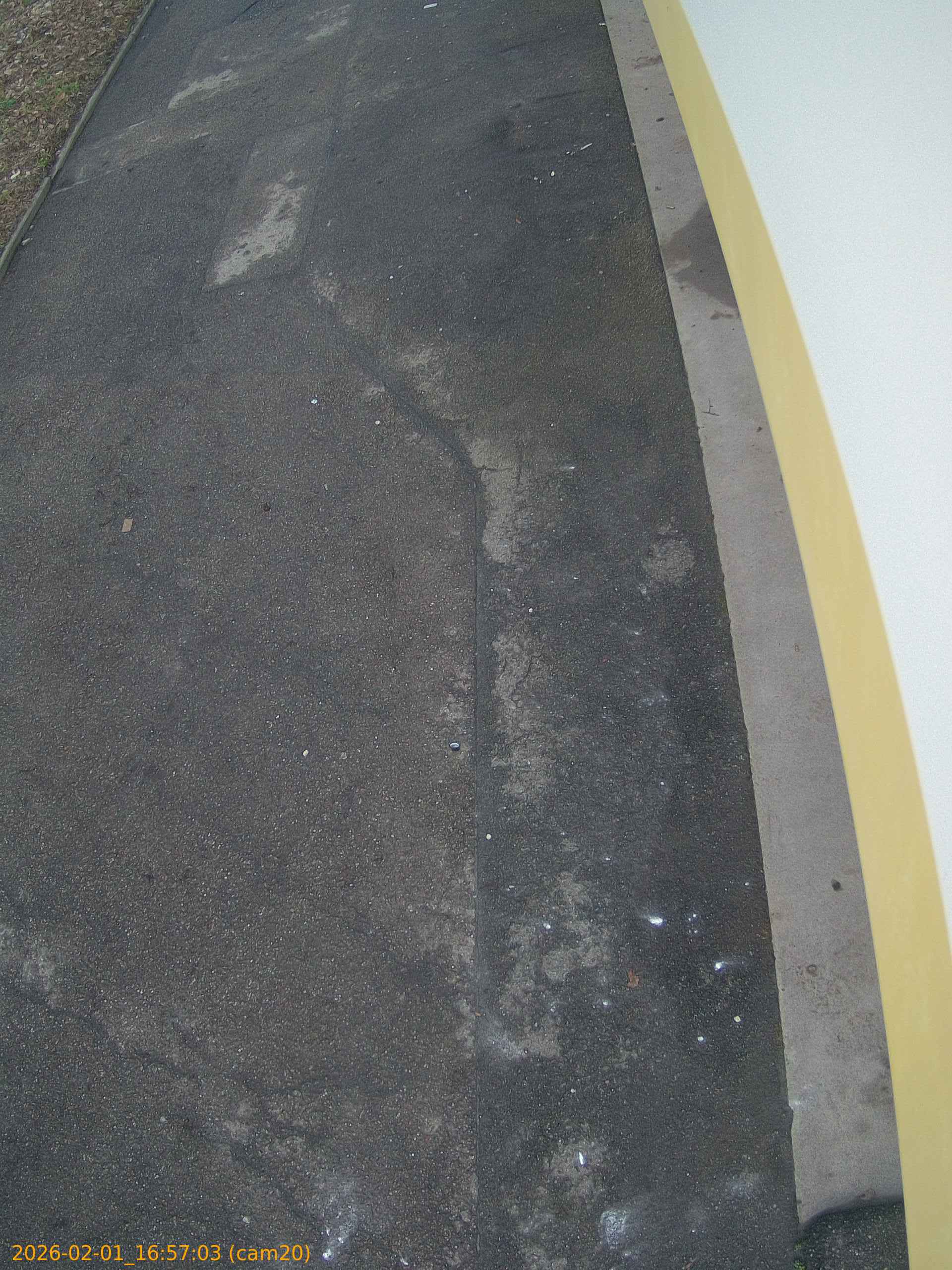 thumbnail_20260201165703