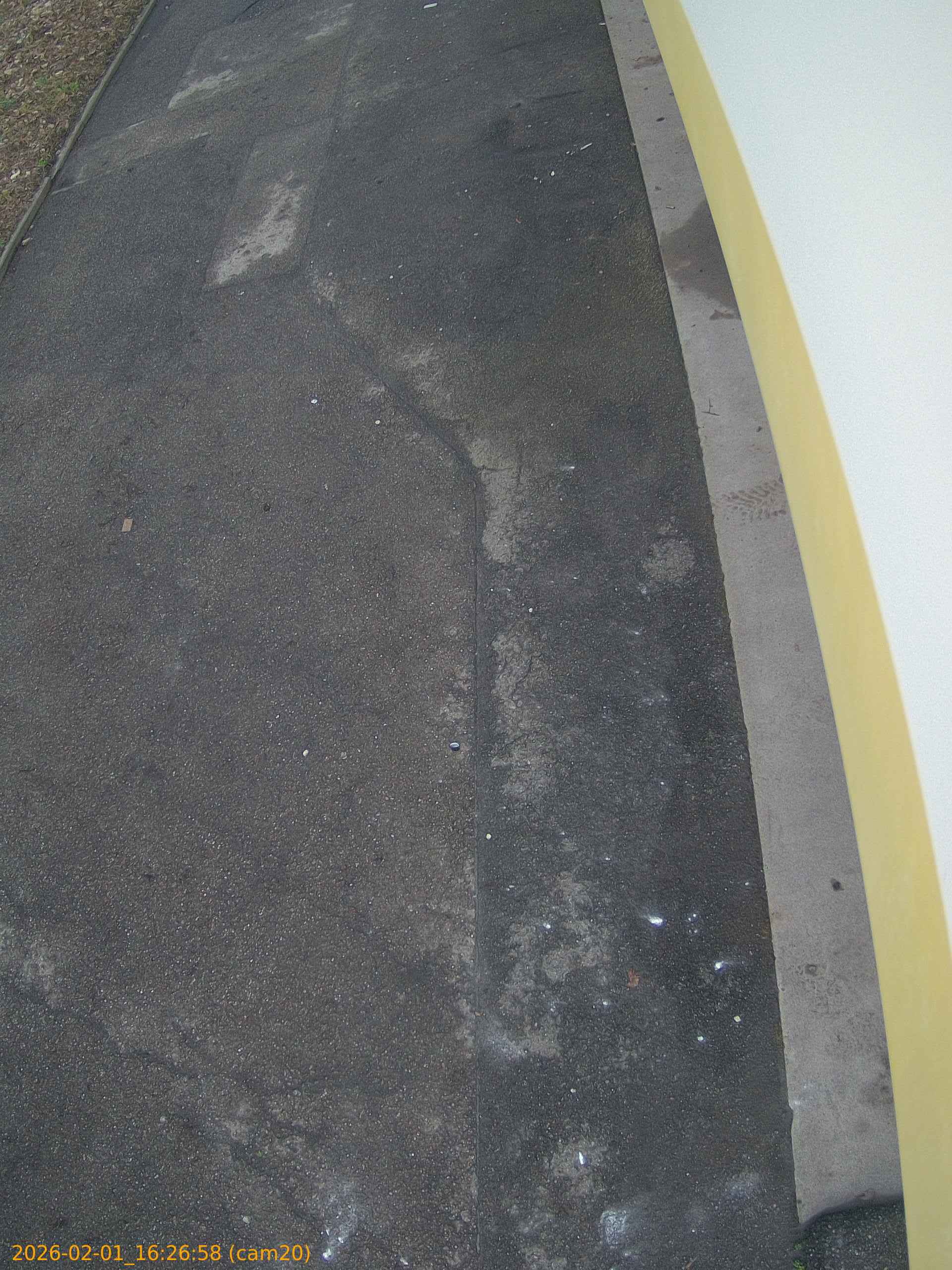 thumbnail_202602011626