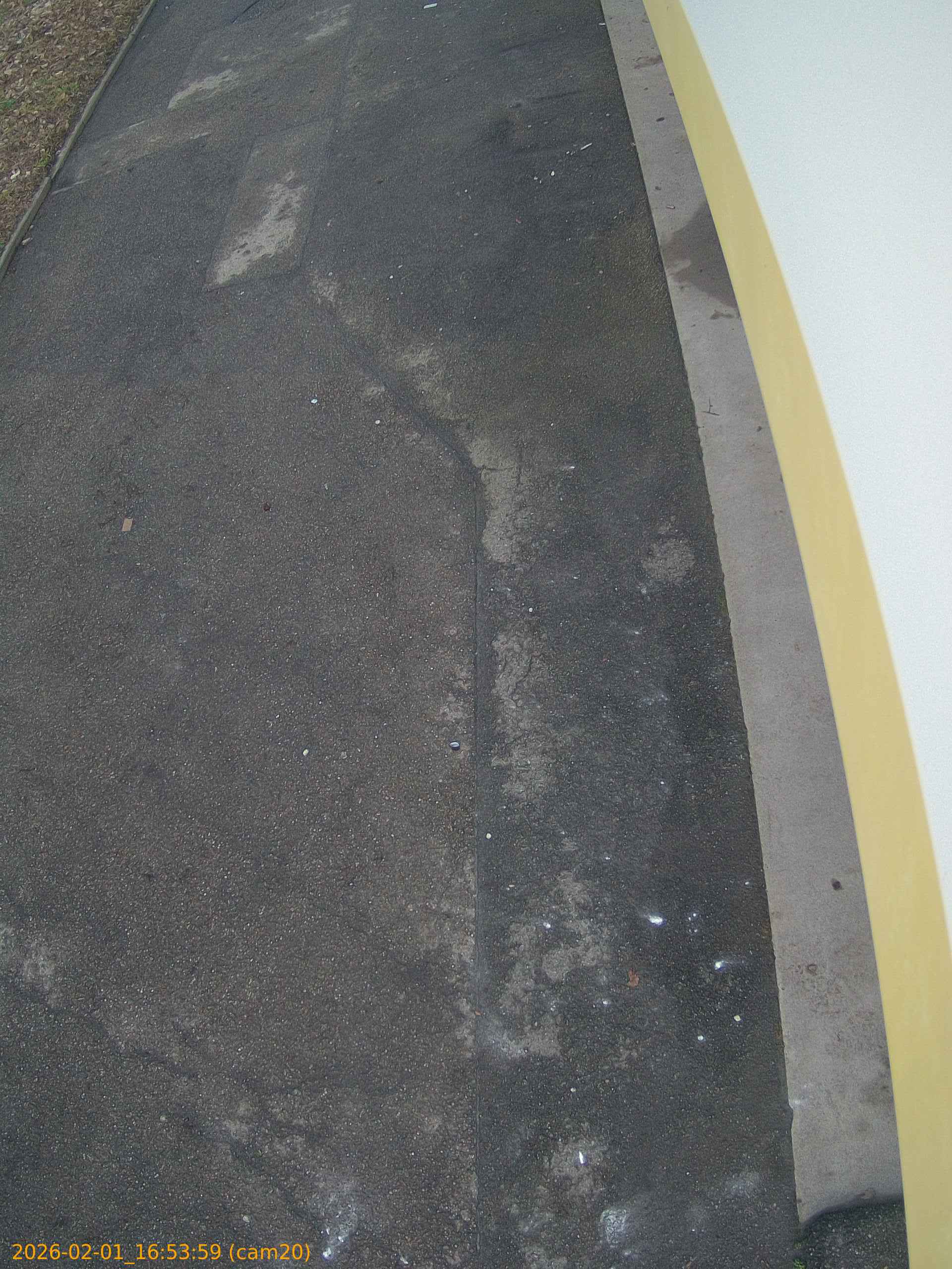 thumbnail_202602011653