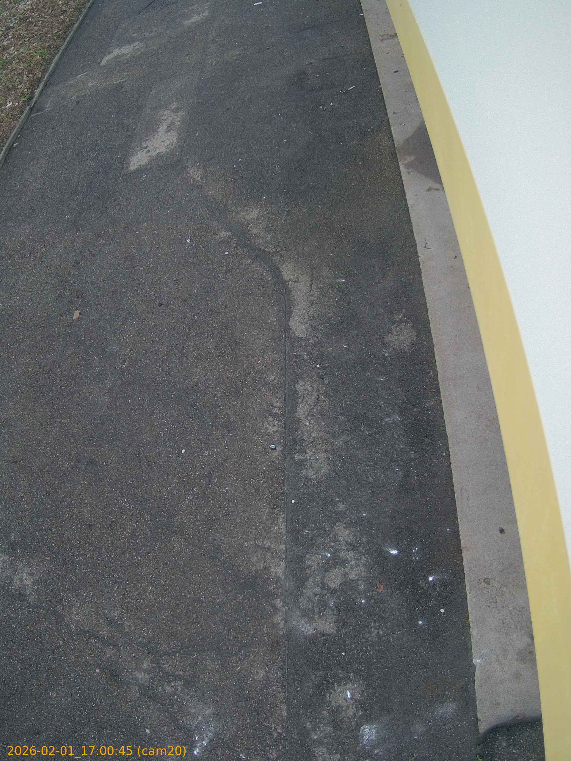 thumbnail_20260201170045