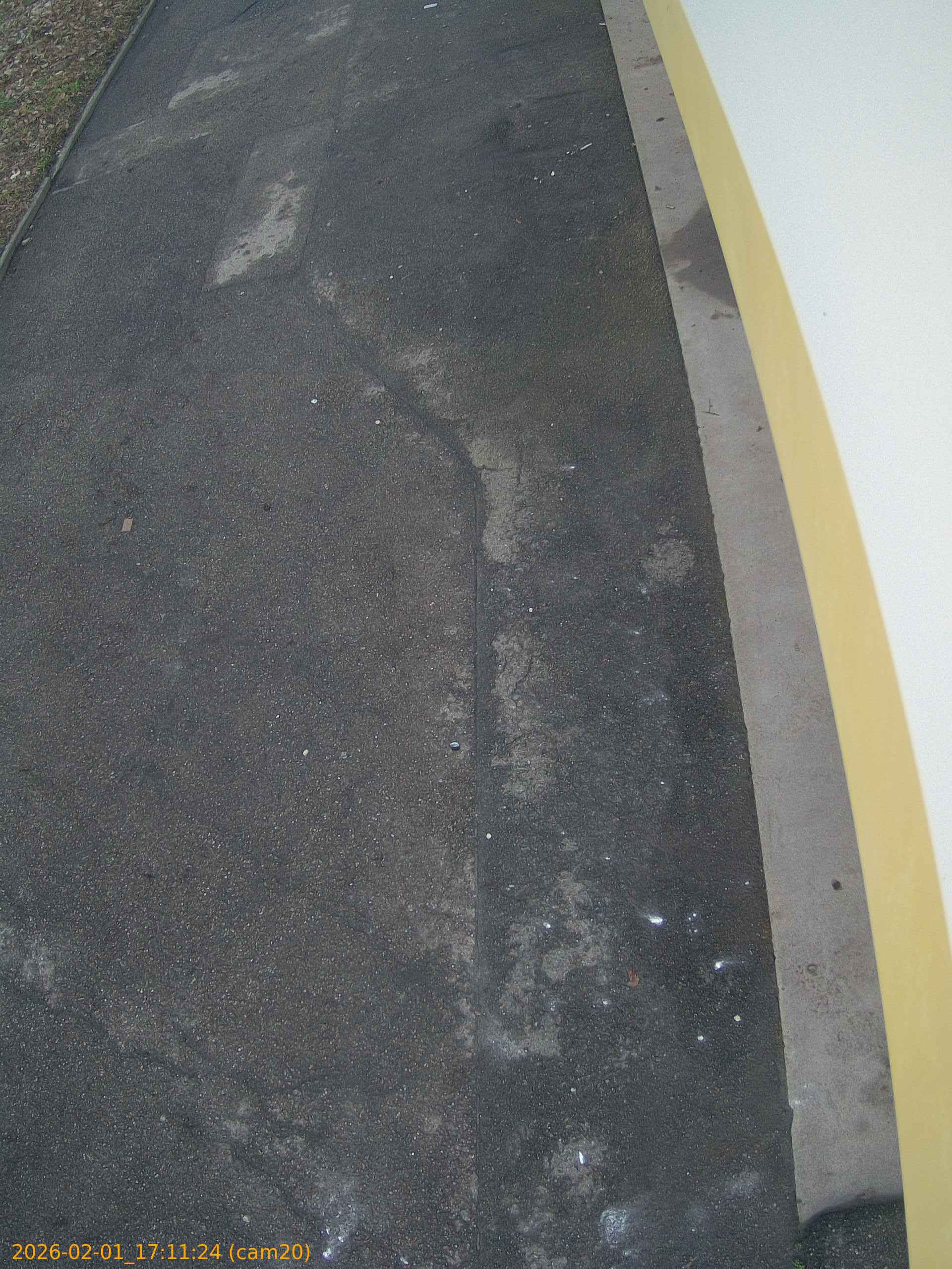 thumbnail_20260201171124