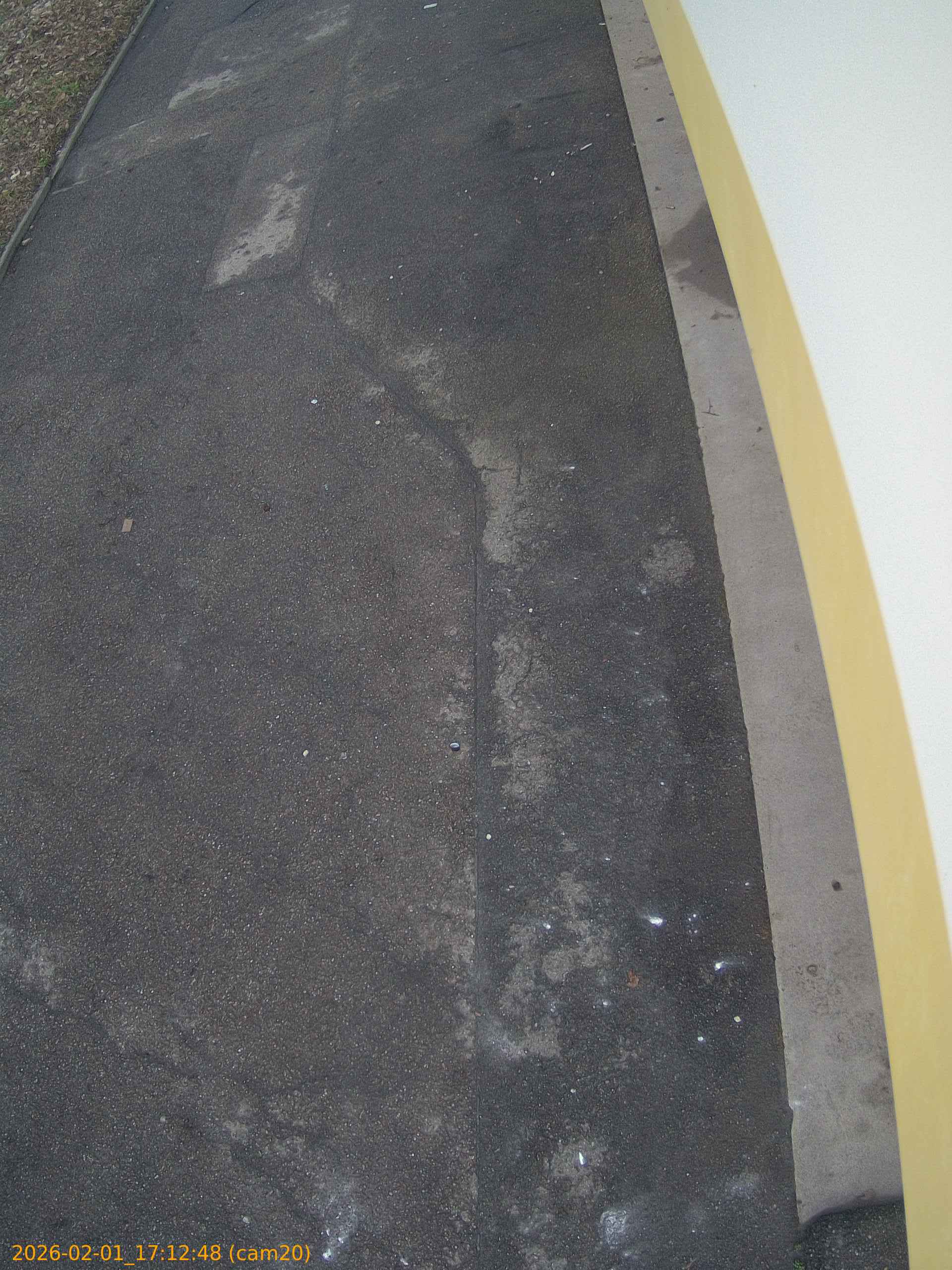 thumbnail_20260201171248