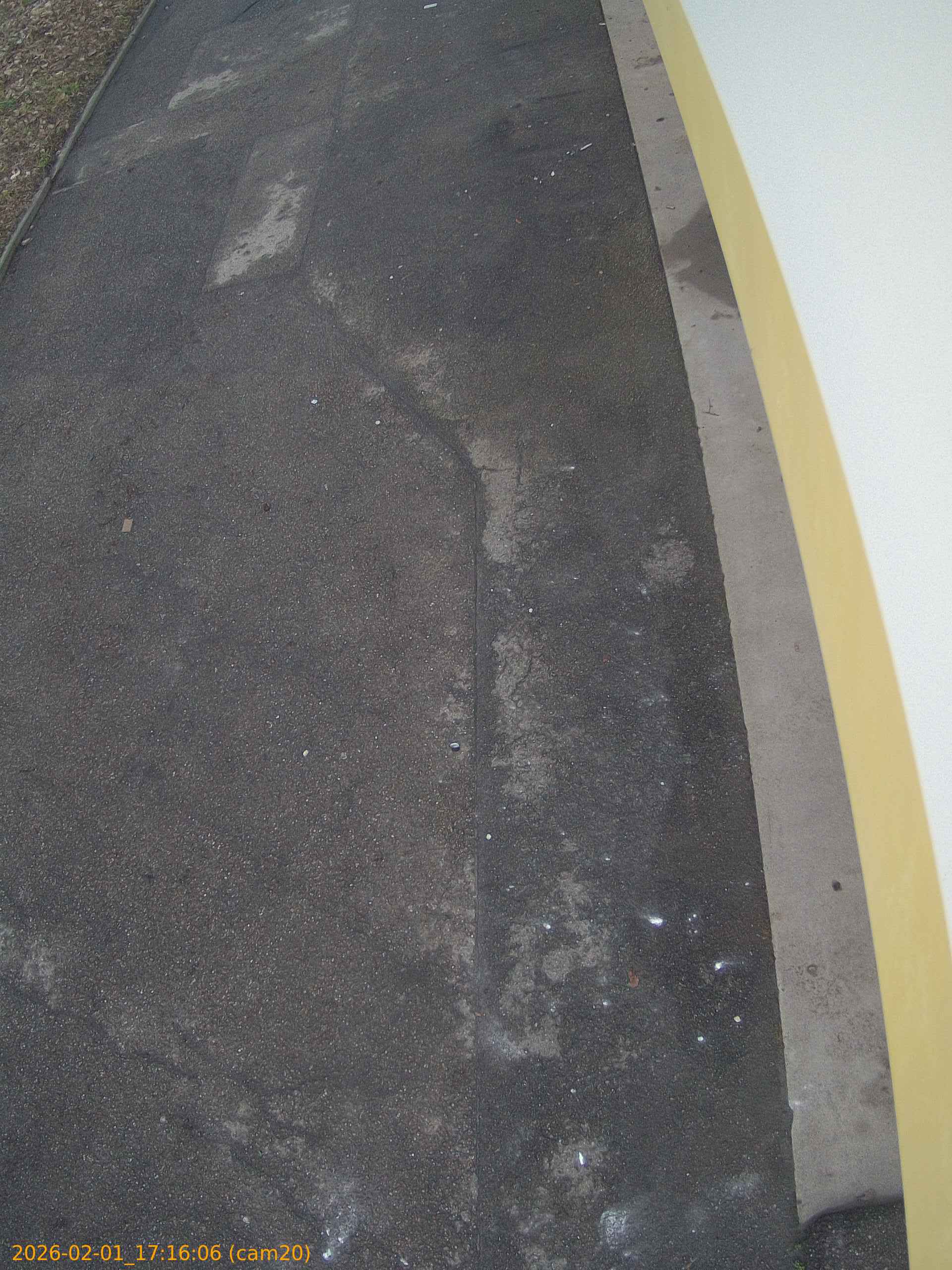 thumbnail_20260201171606