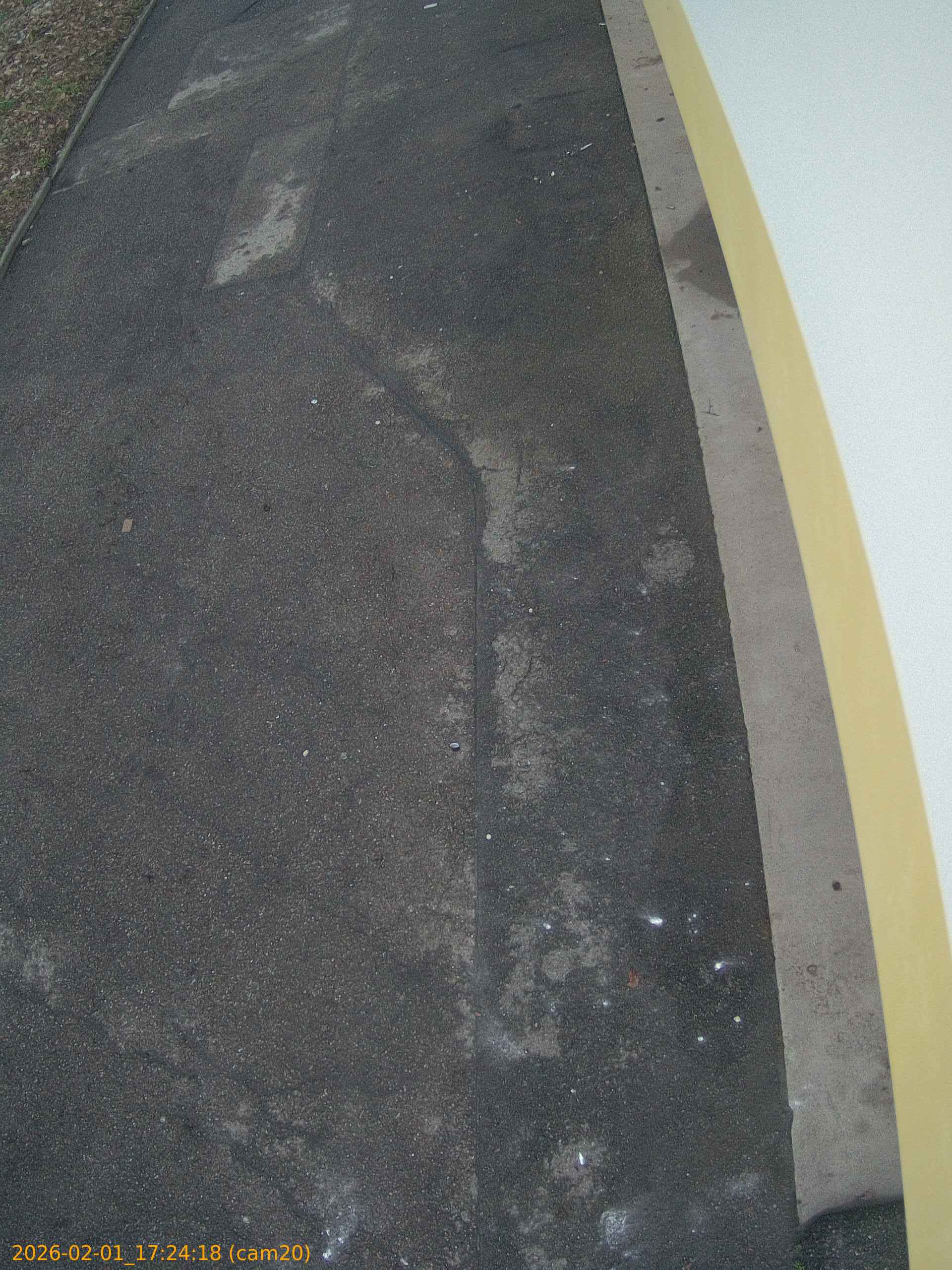 thumbnail_20260201172418