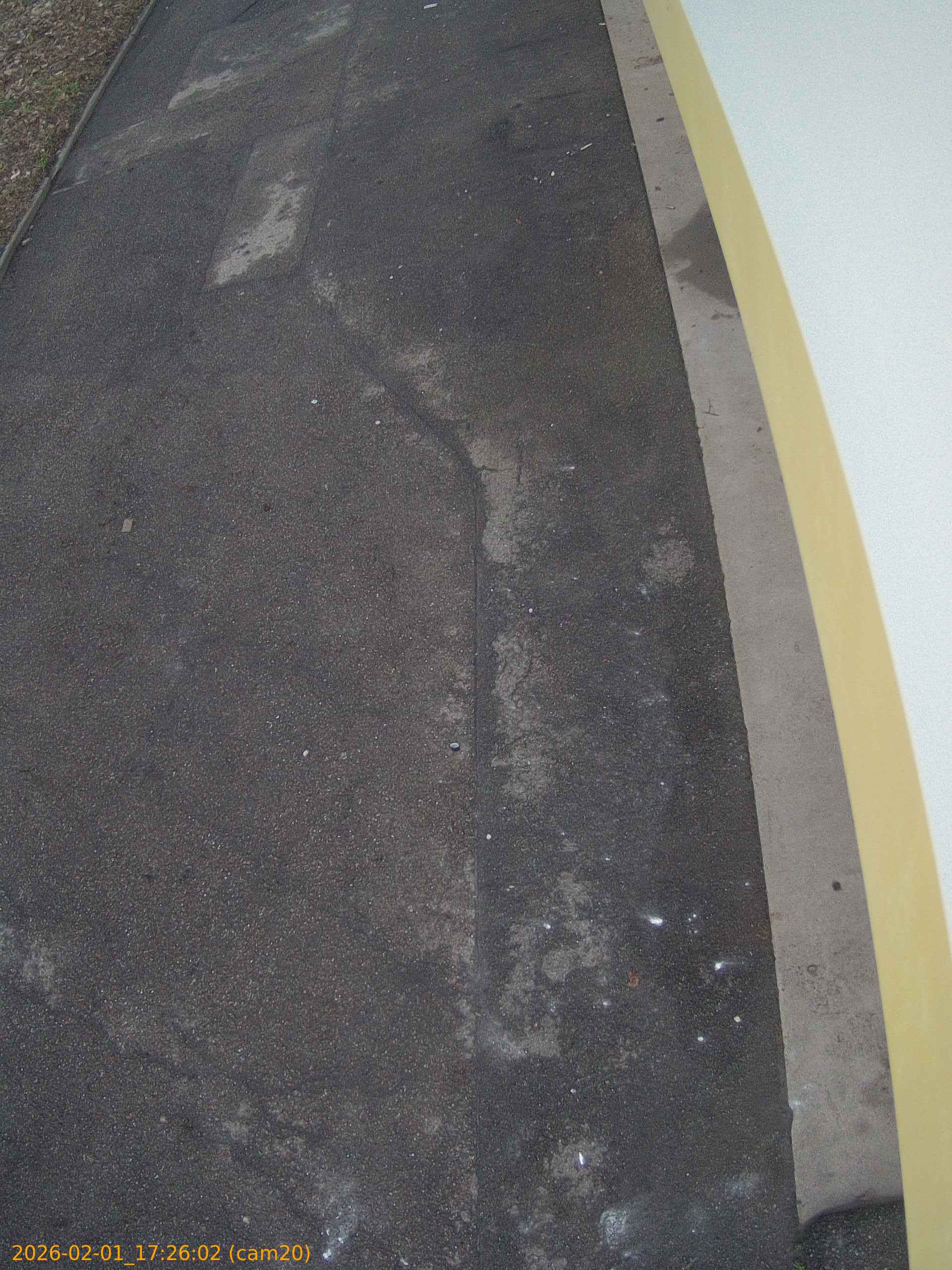 thumbnail_20260201172602