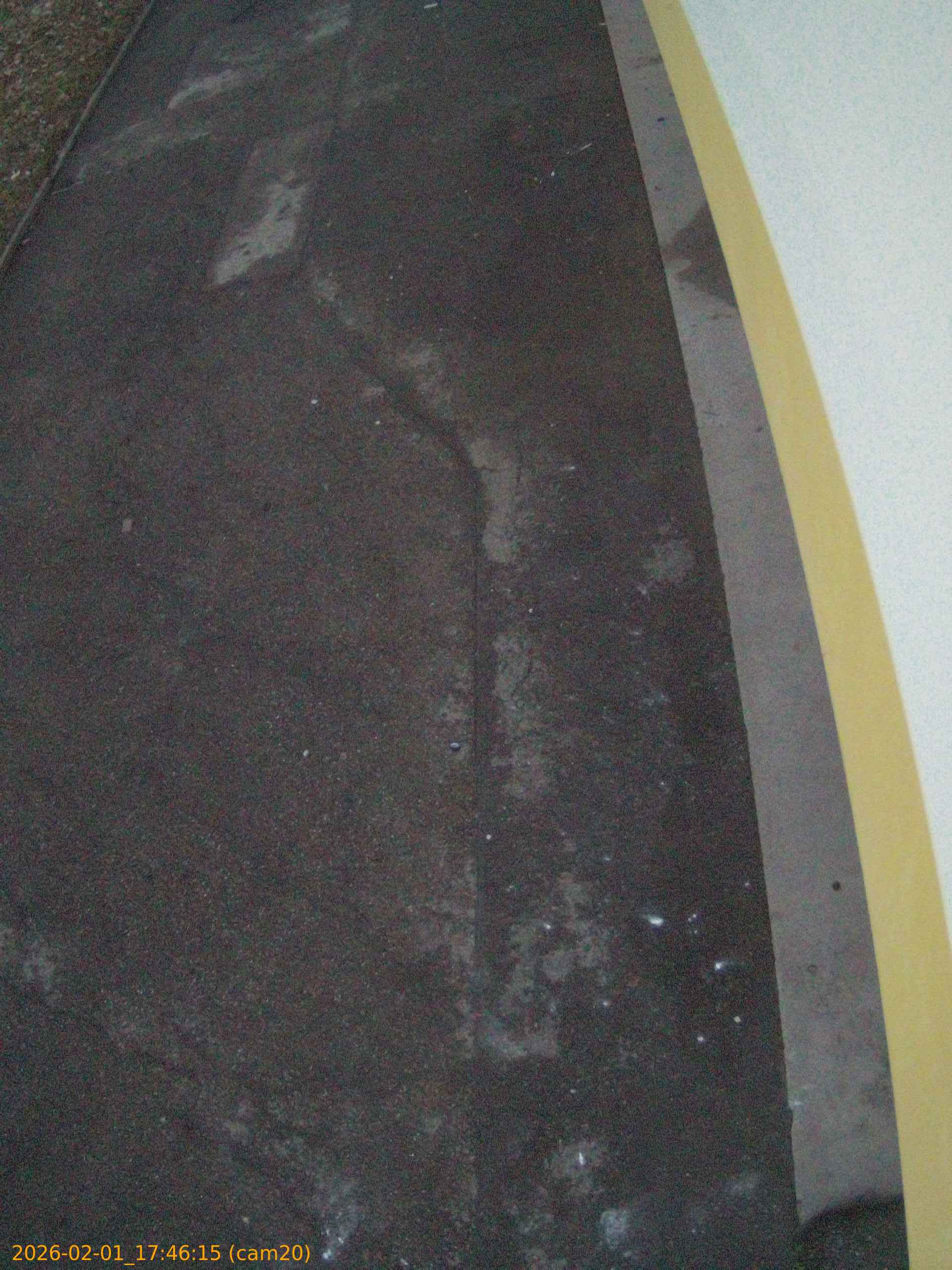 thumbnail_20260201174615