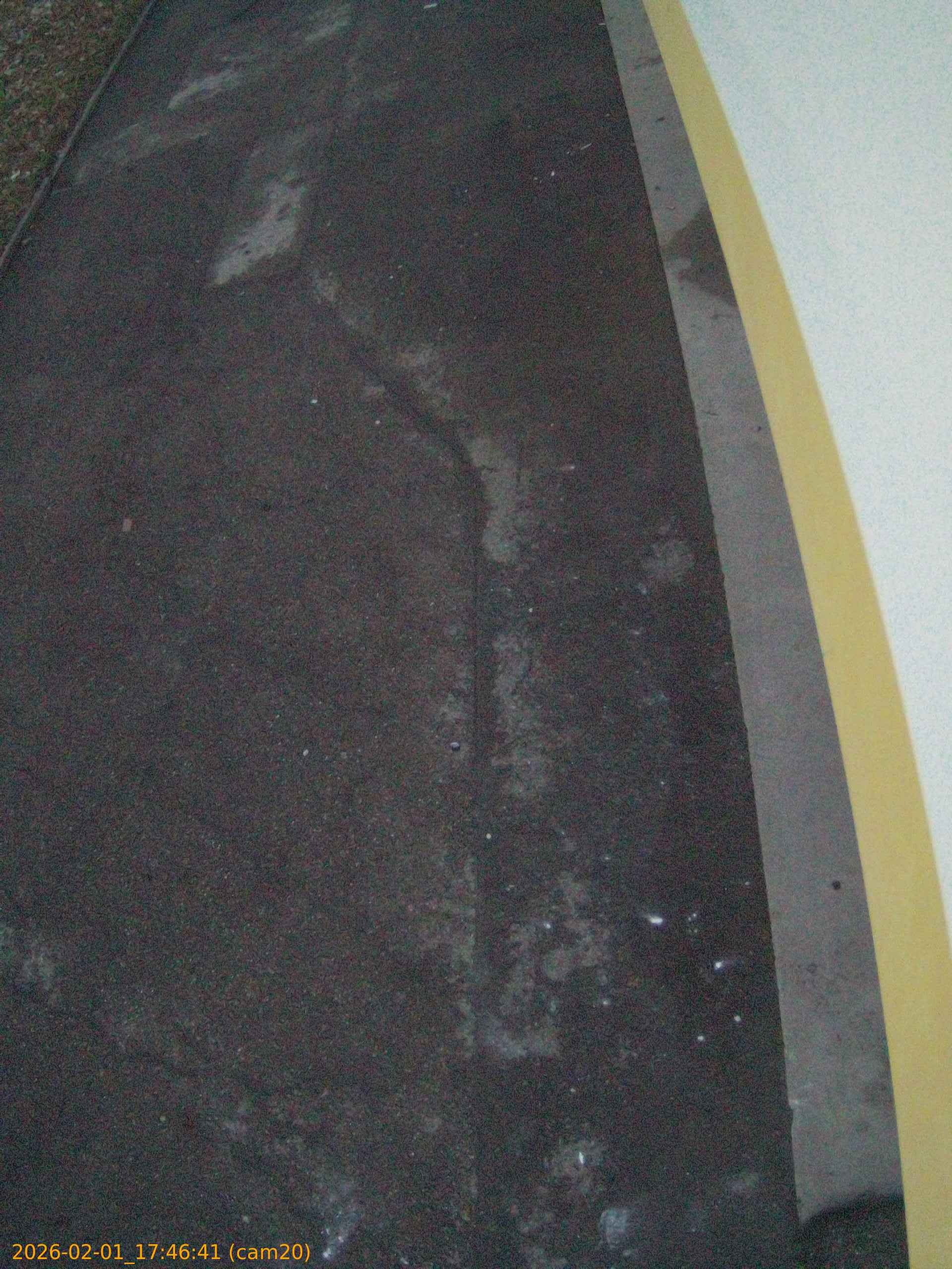 thumbnail_20260201174641