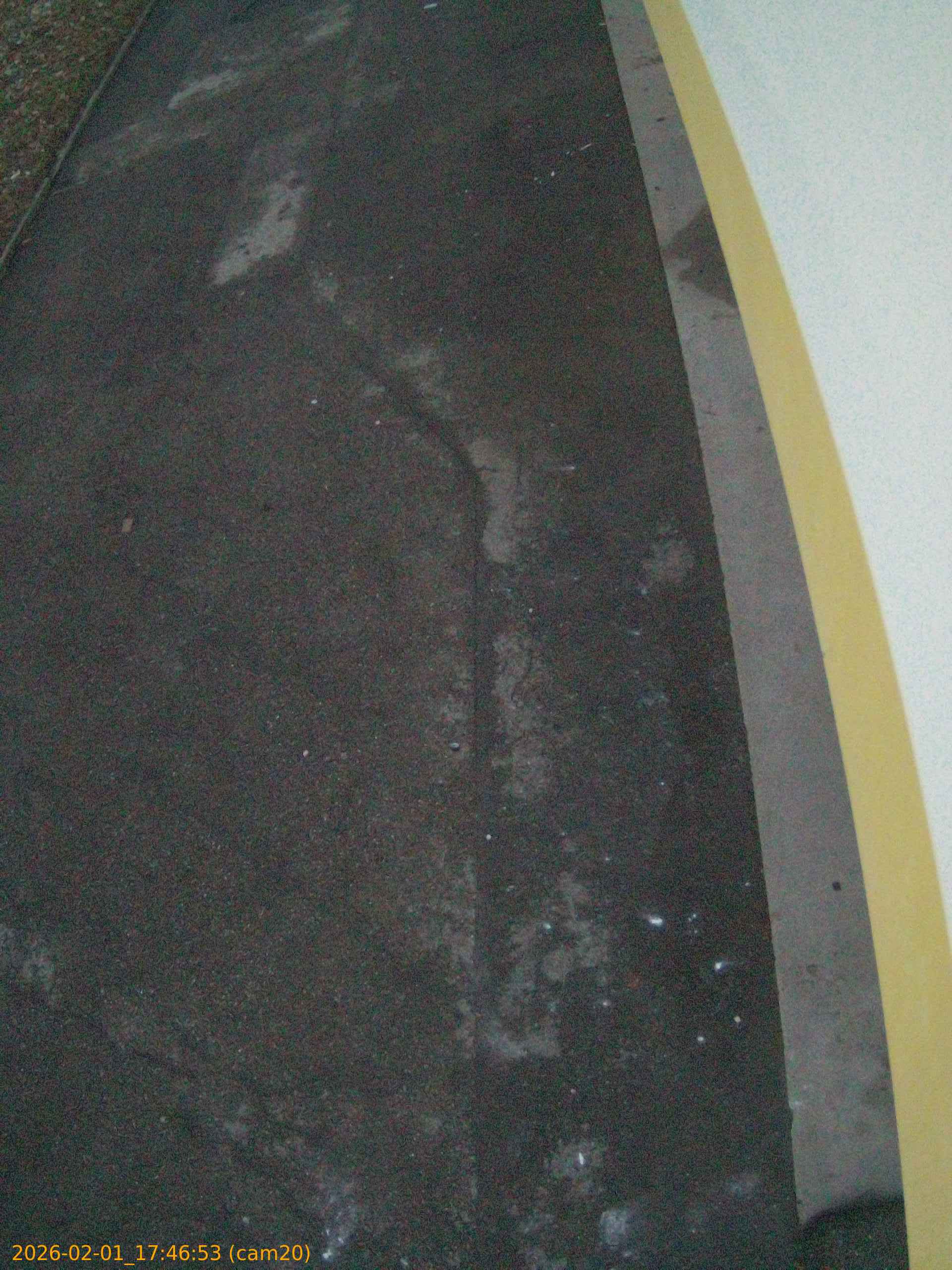 thumbnail_20260201174653