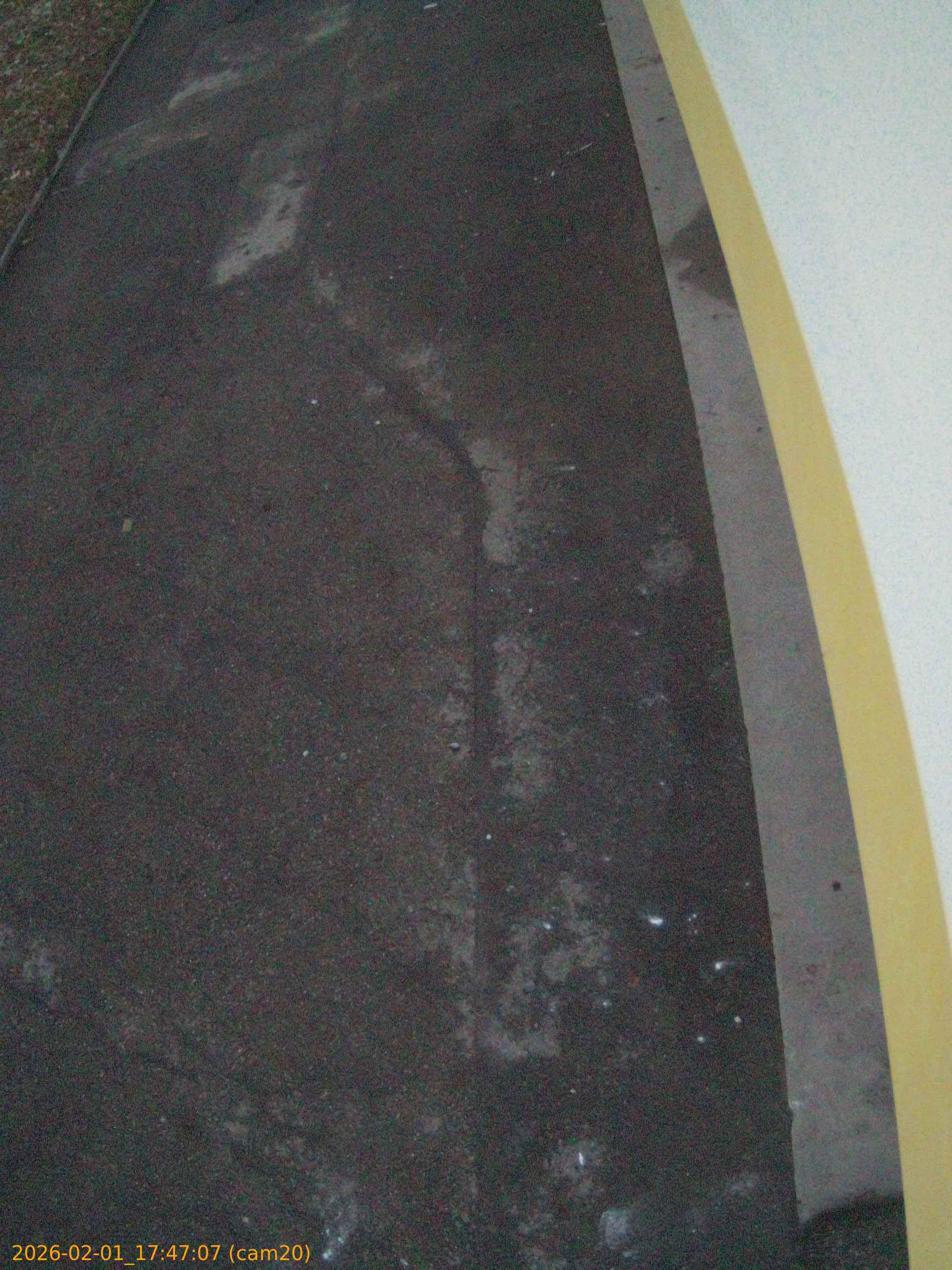 thumbnail_20260201174707