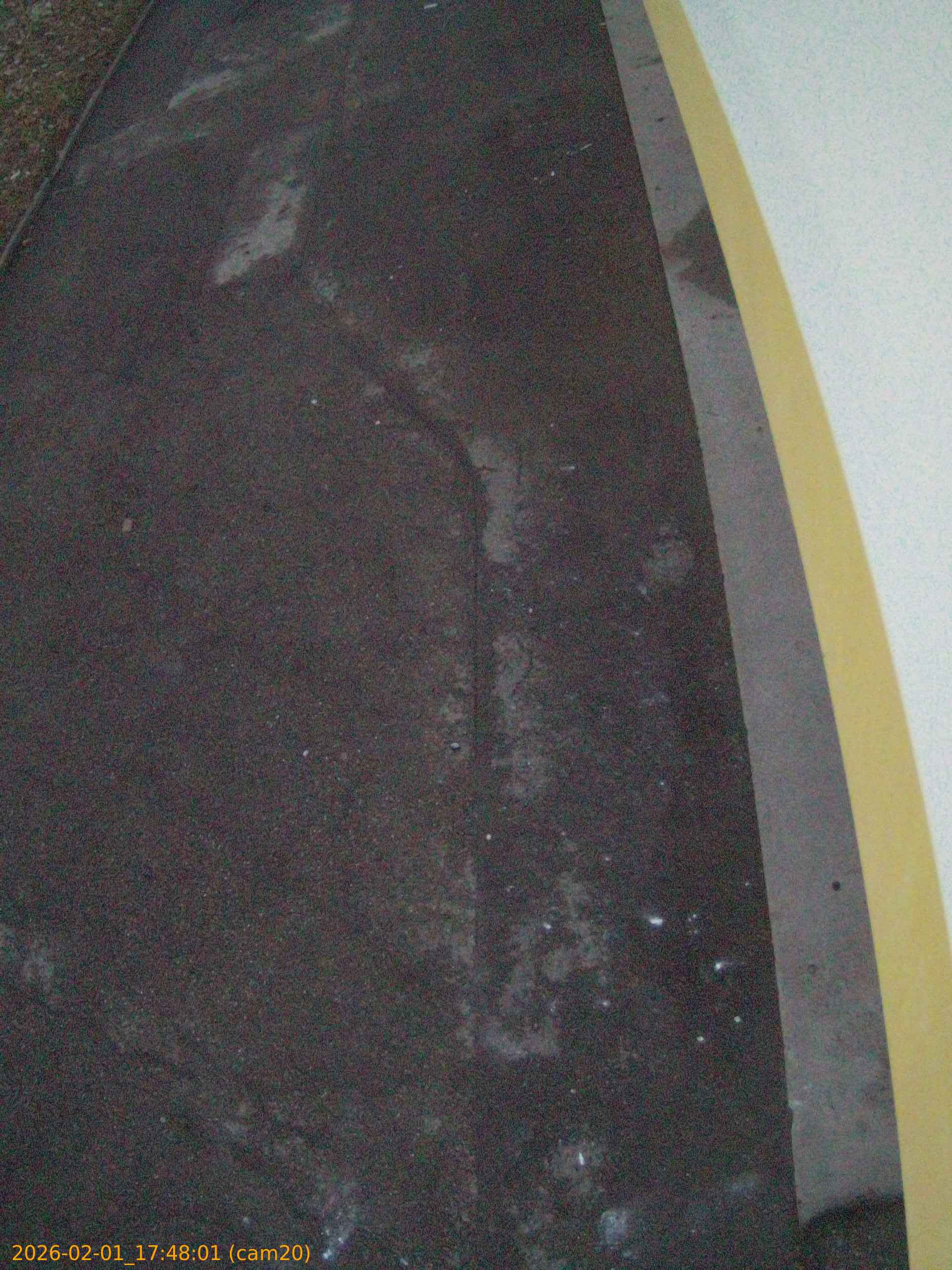 thumbnail_20260201174801