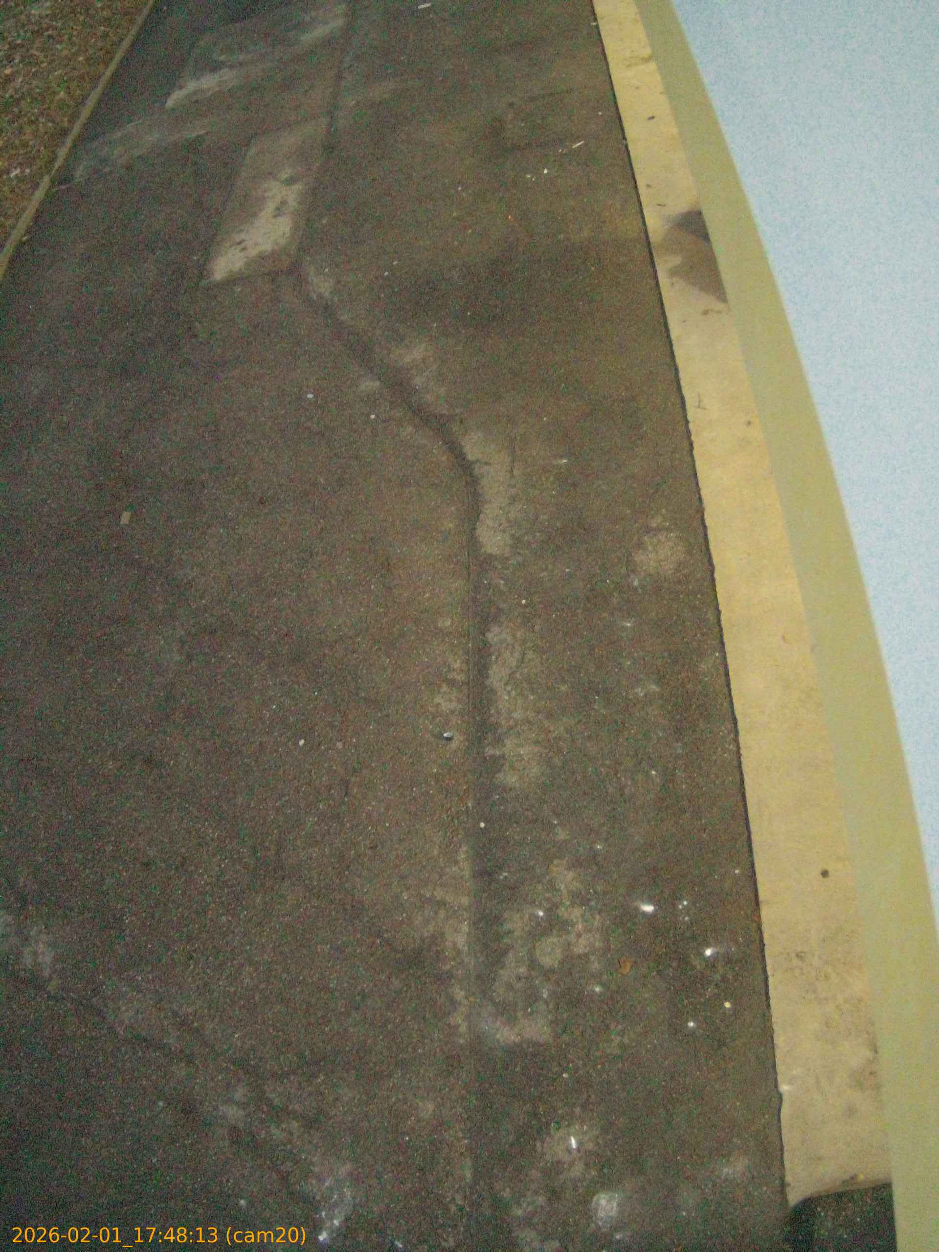 thumbnail_20260201174813