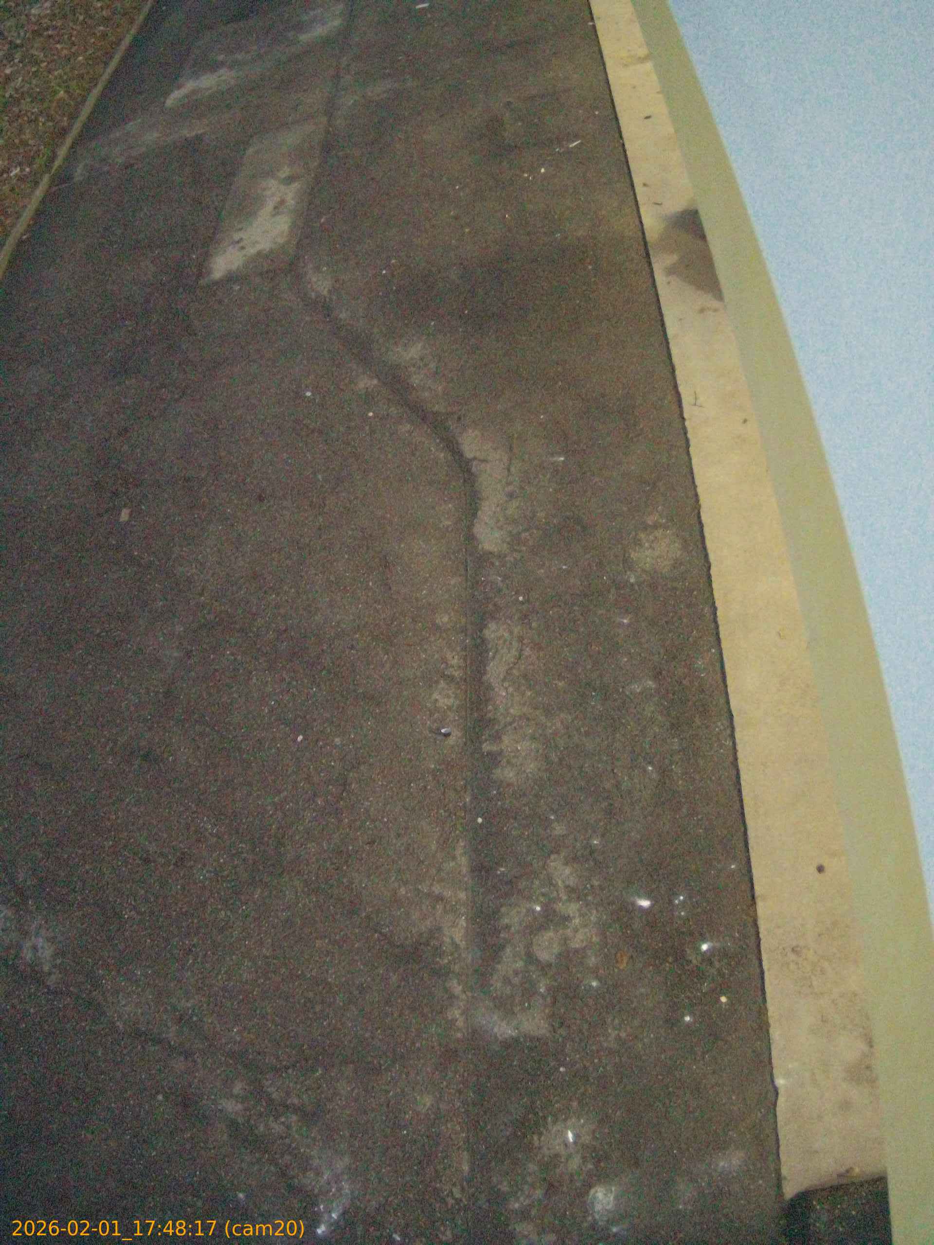 thumbnail_20260201174817